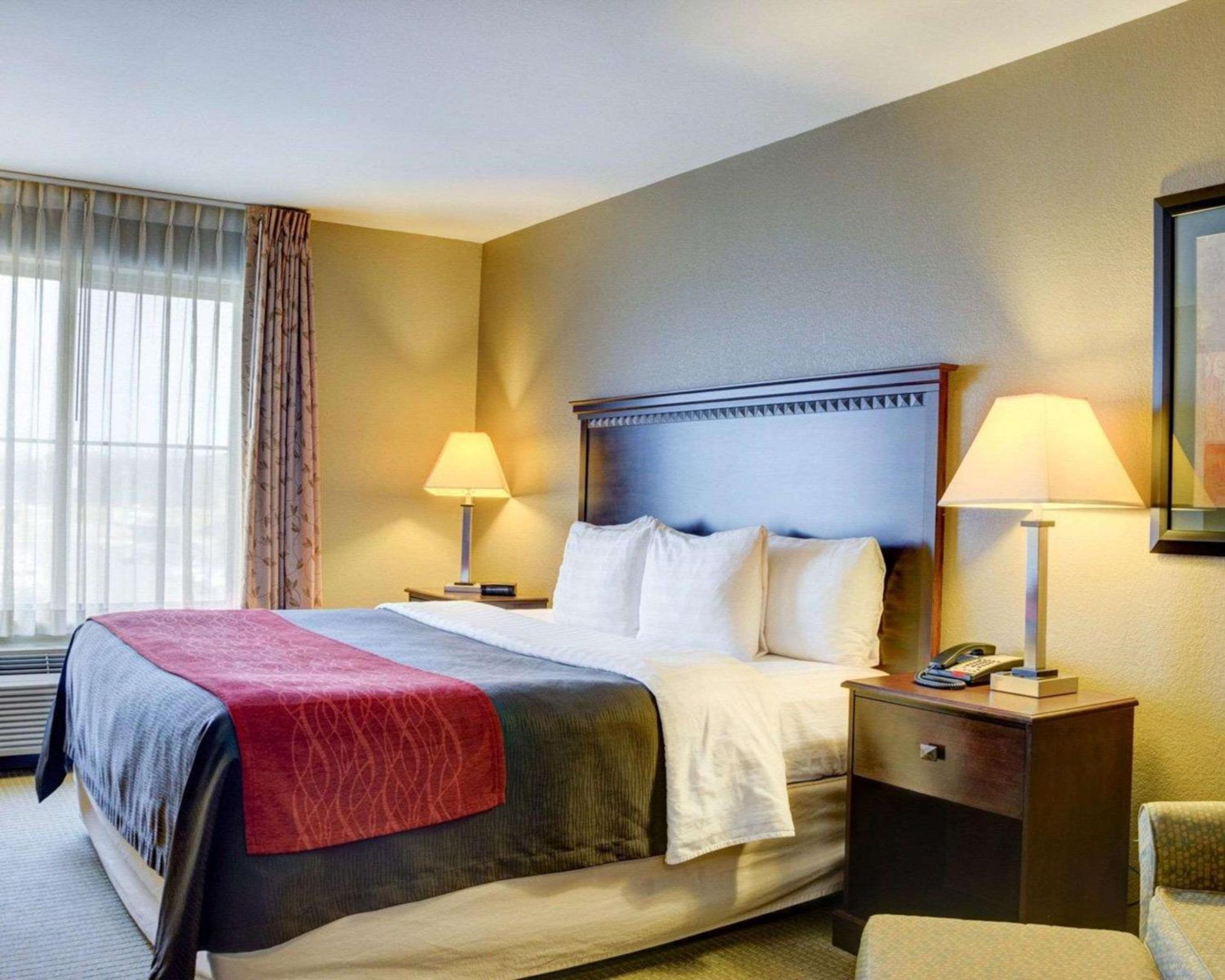 King Room - Non-Smoking - Photo 3