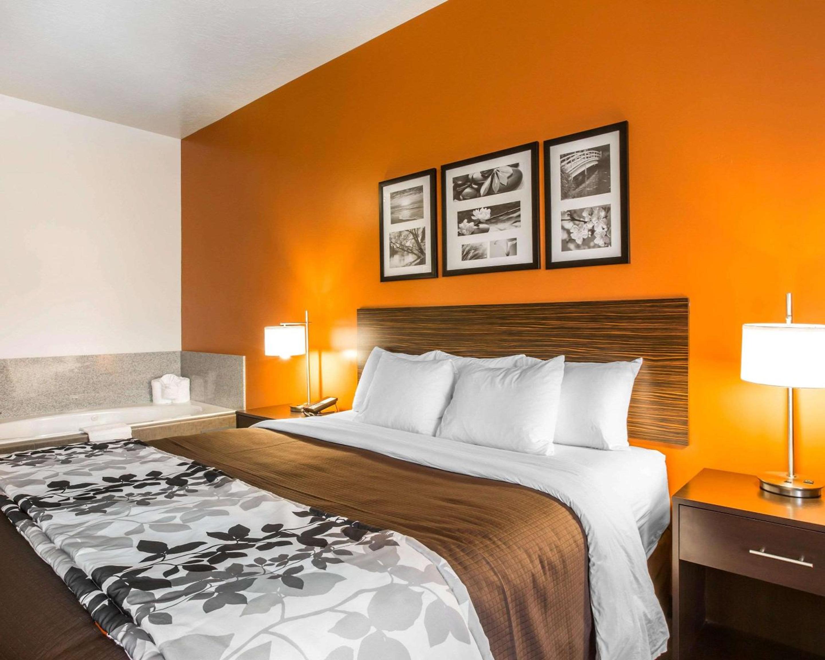 Junior Suite with King Bed - Non Smoking photo 3