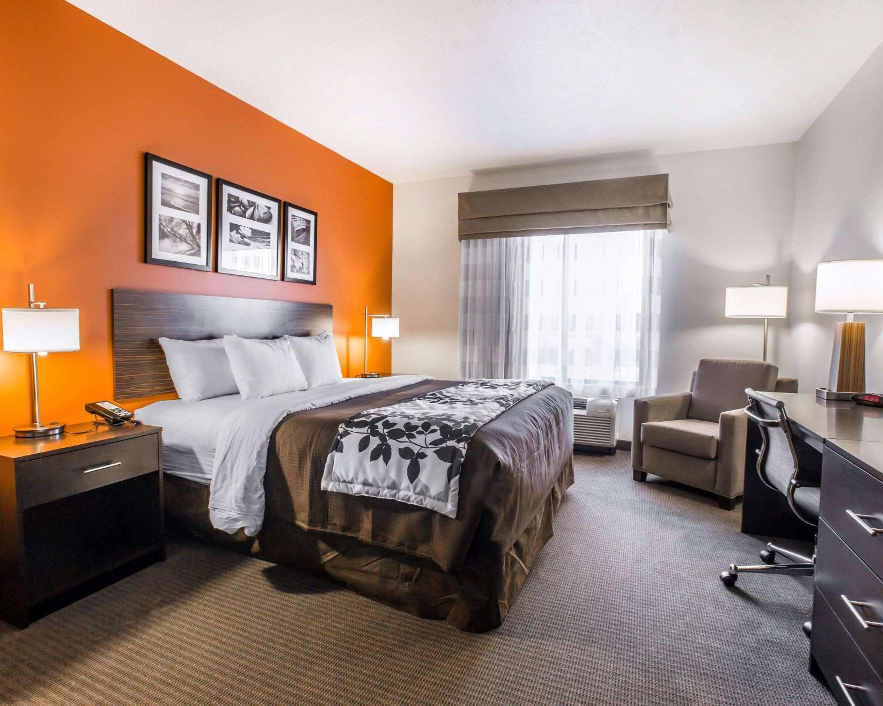 King Room - Accessible/Non-Smoking