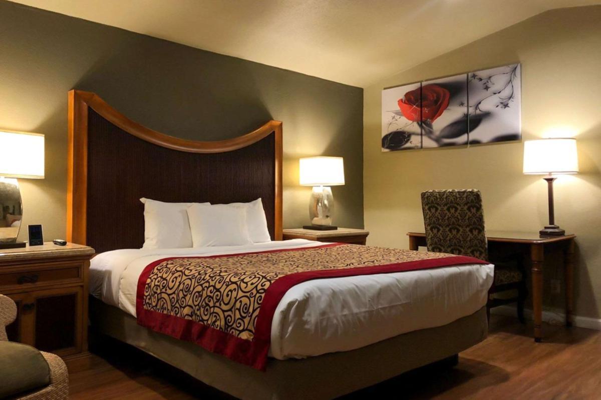 King Room - Non-Smoking photo 1