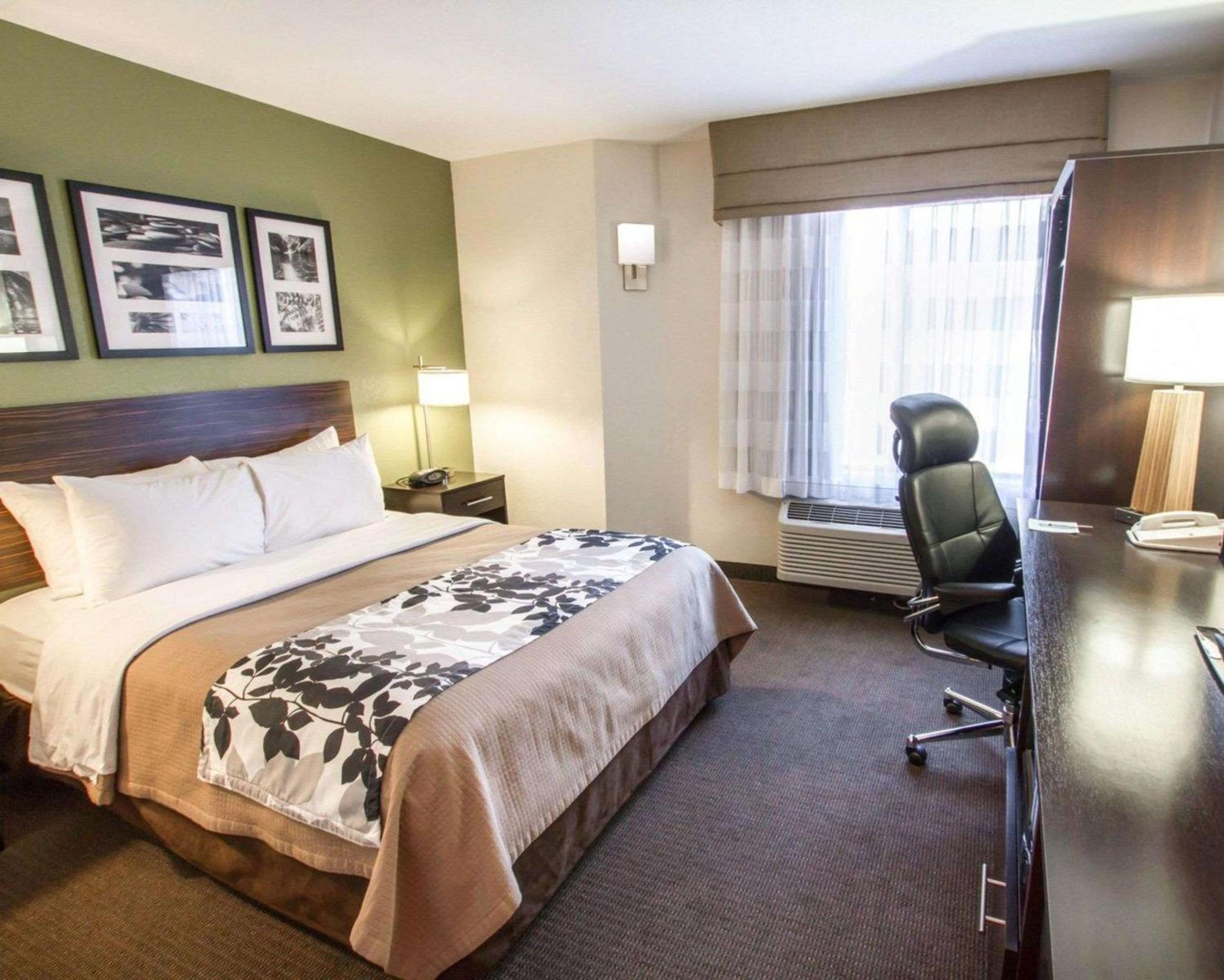 King Room - Non-Smoking - Photo 2