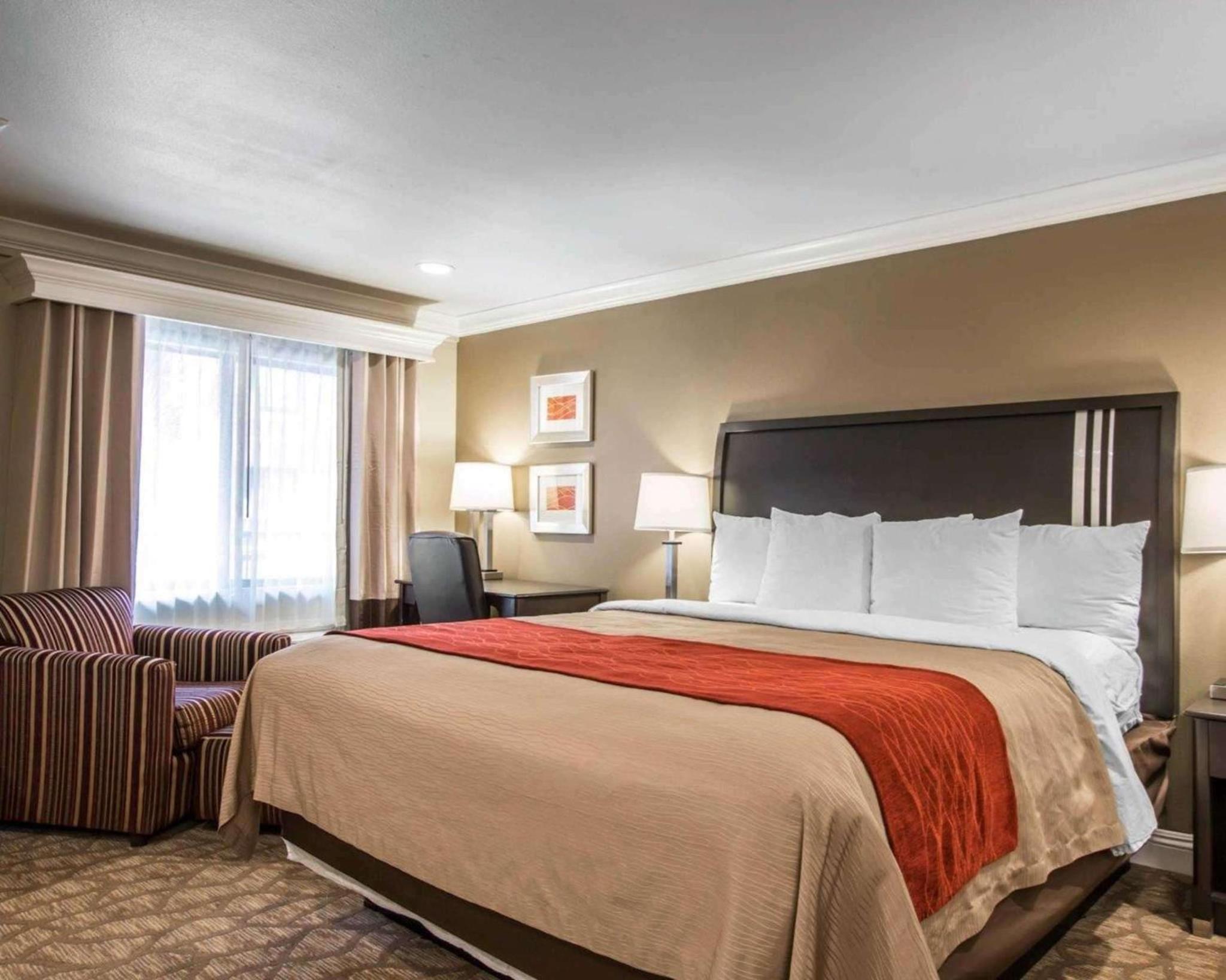 Standard Room, 1 King Bed, Non Smoking - Photo 1