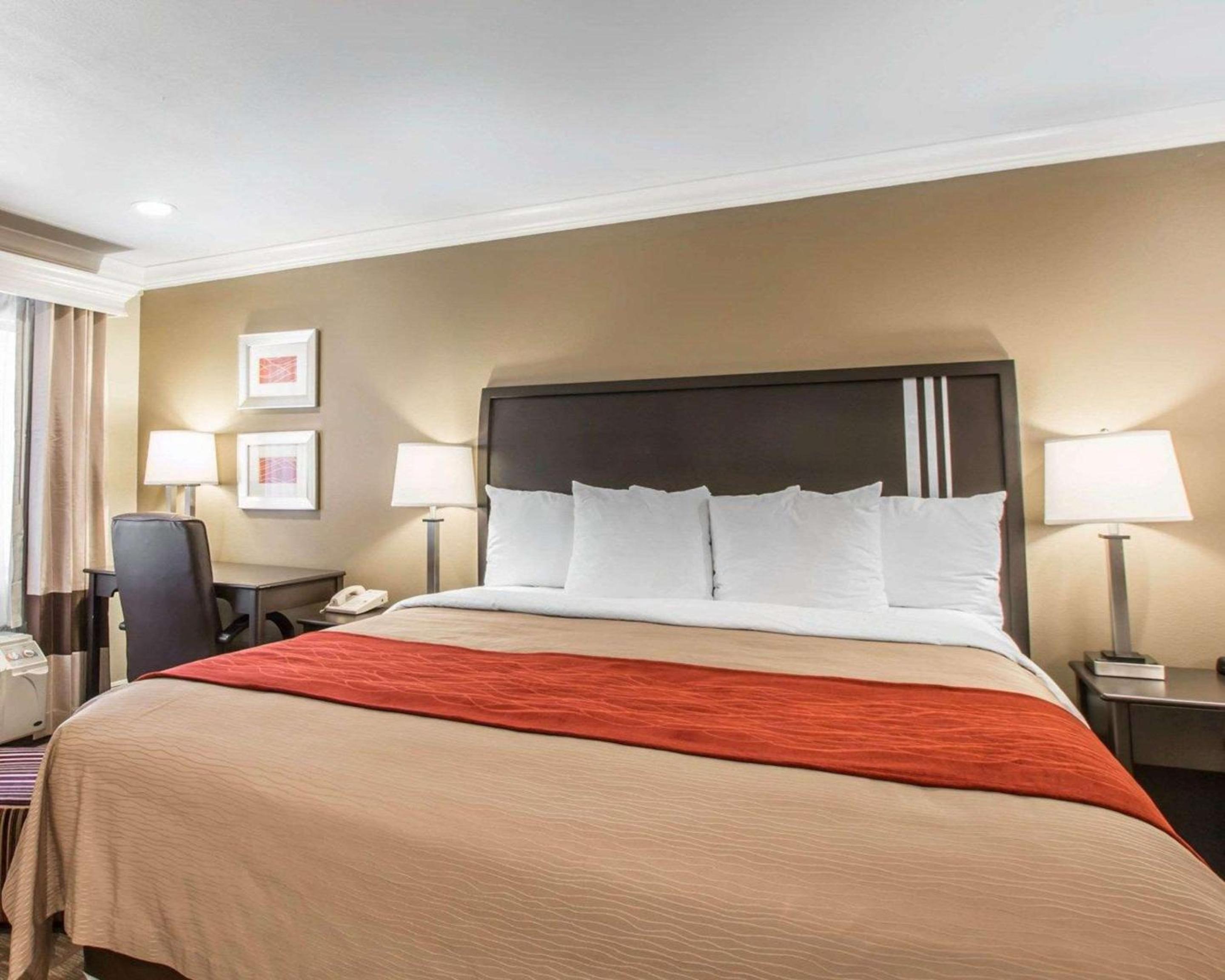Standard Room, 1 King Bed, Non Smoking - Photo 3