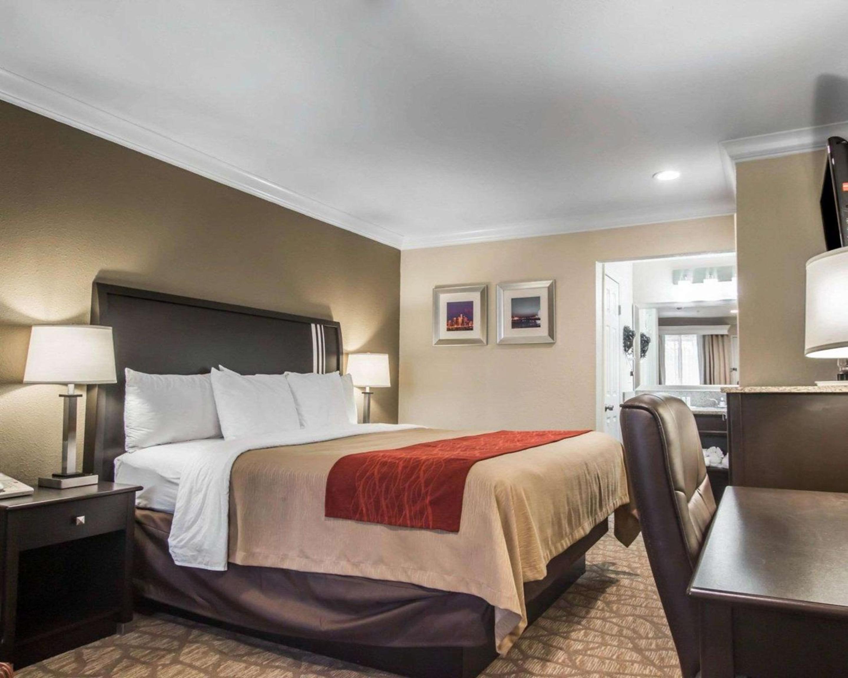 Deluxe Room, 1 King Bed, Jetted Bathroom Tub, Non Smoking - Photo 1