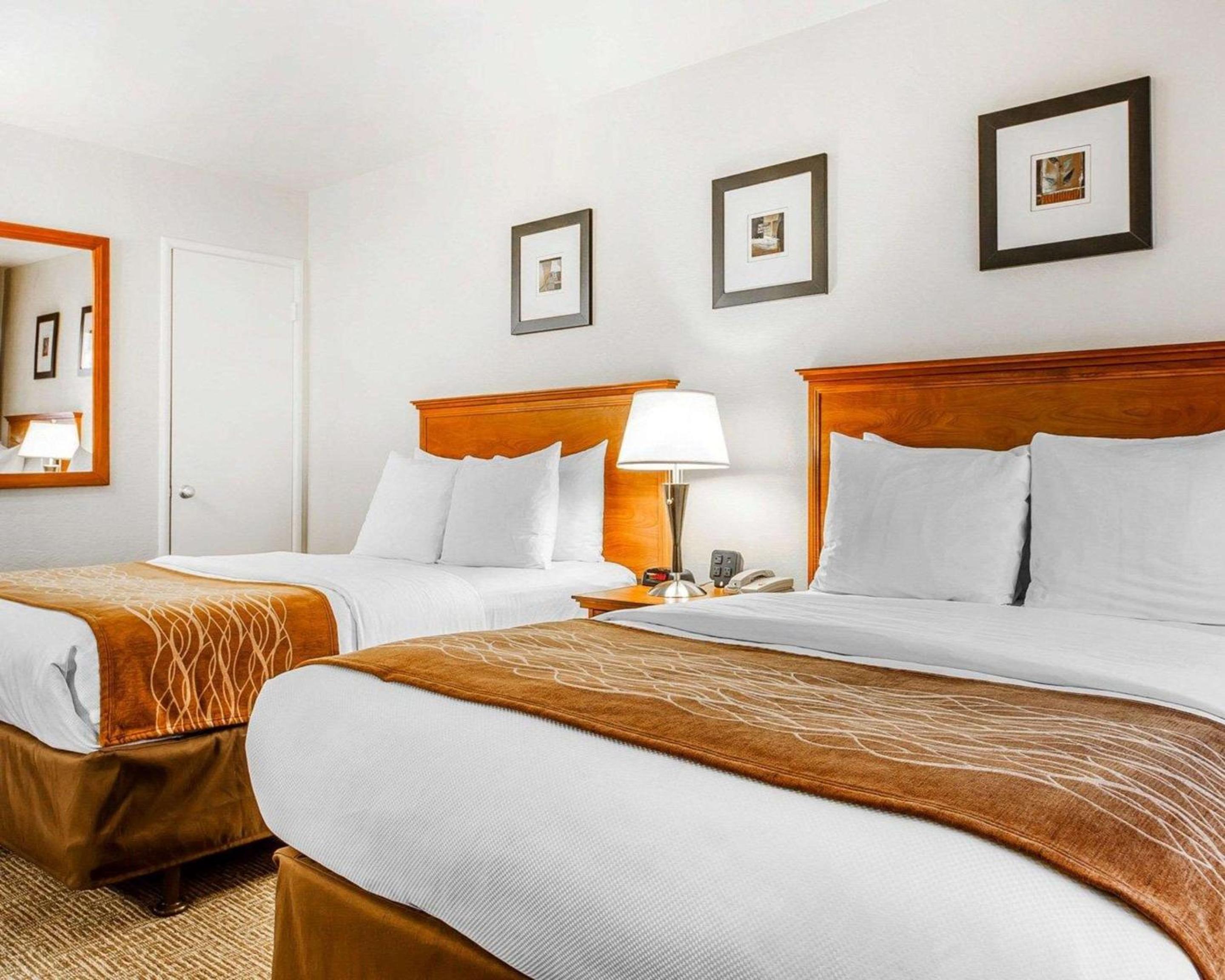 Standard Room with Two Double Beds Non-Smoking - Photo 6