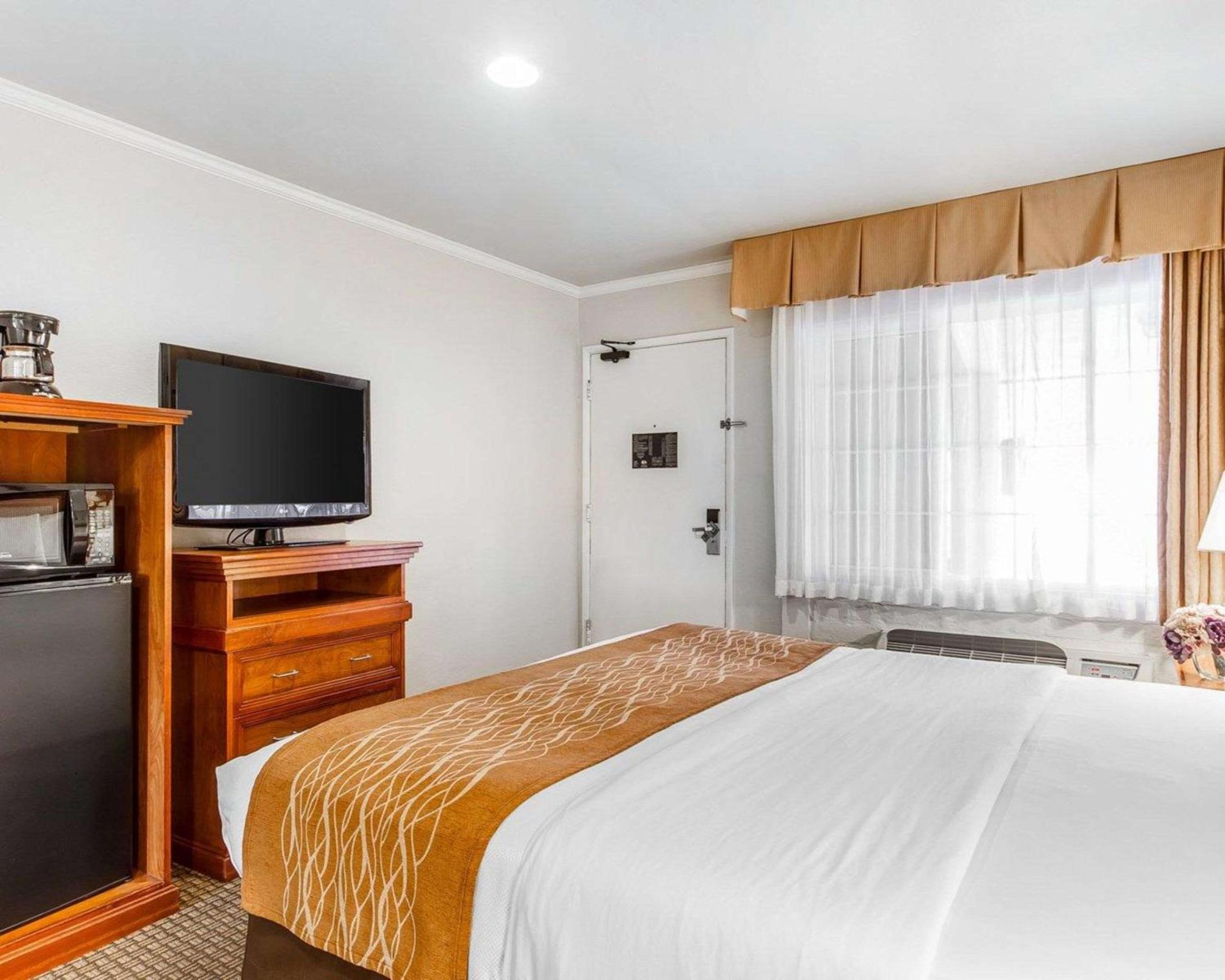 Queen Room - Disability Access - Photo 3