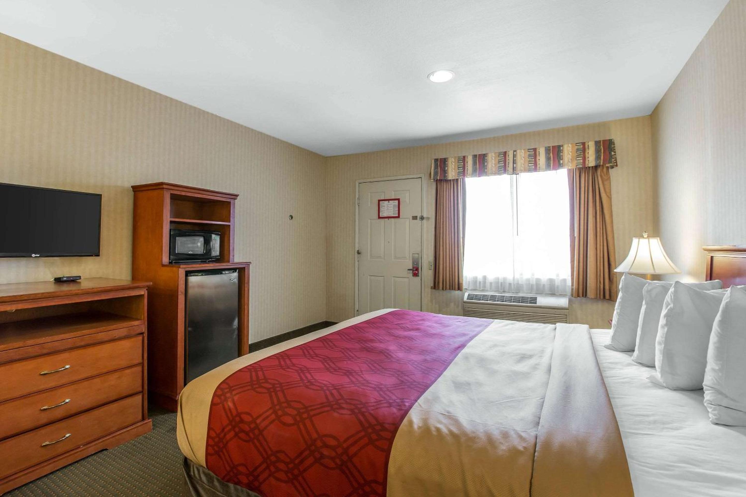 King Room - Non-Smoking photo 1