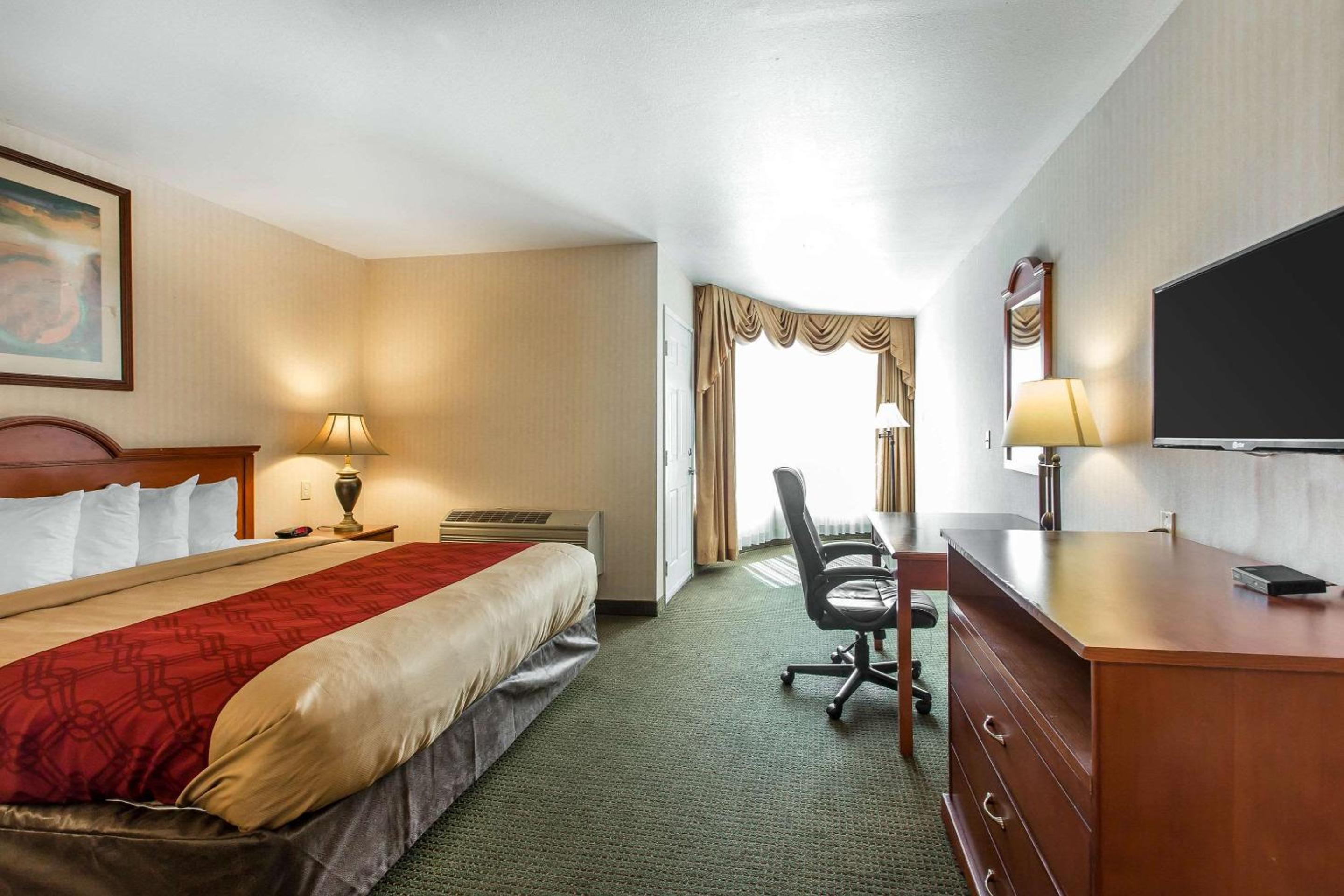 King Suite with Sofa Bed - Non-Smoking photo 1