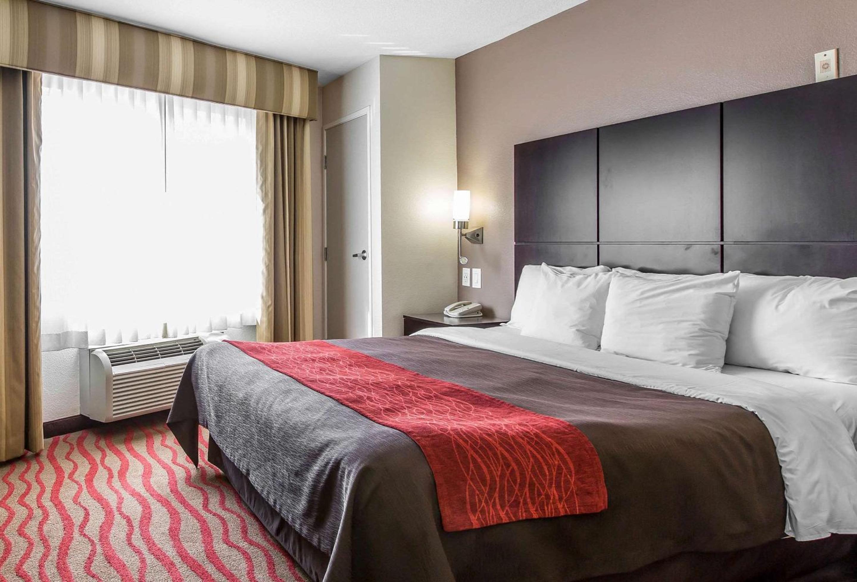 Standard King Room with Roll-in Shower - Accessible/Non-Smoking photo 1