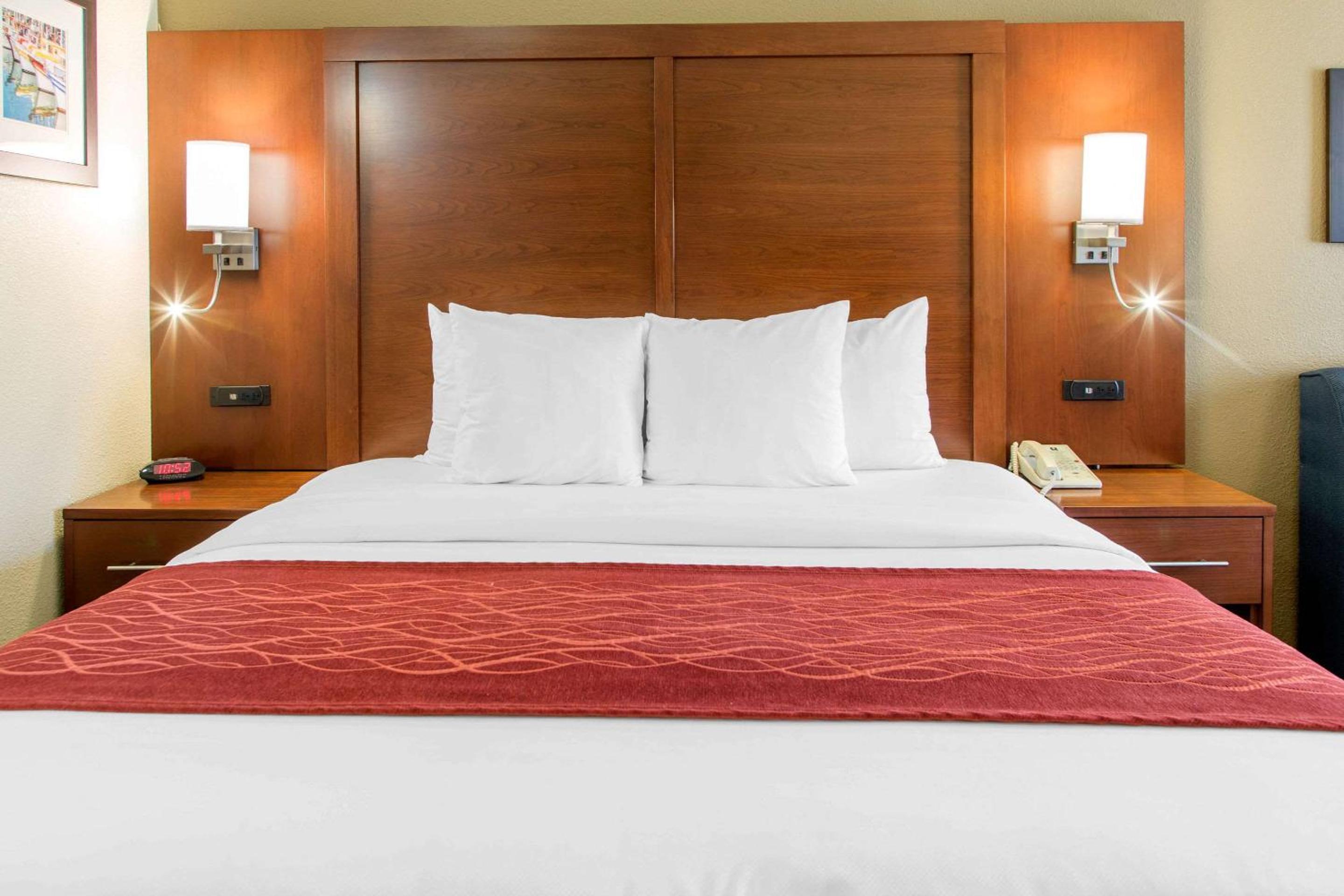 King Suite - Photo 2