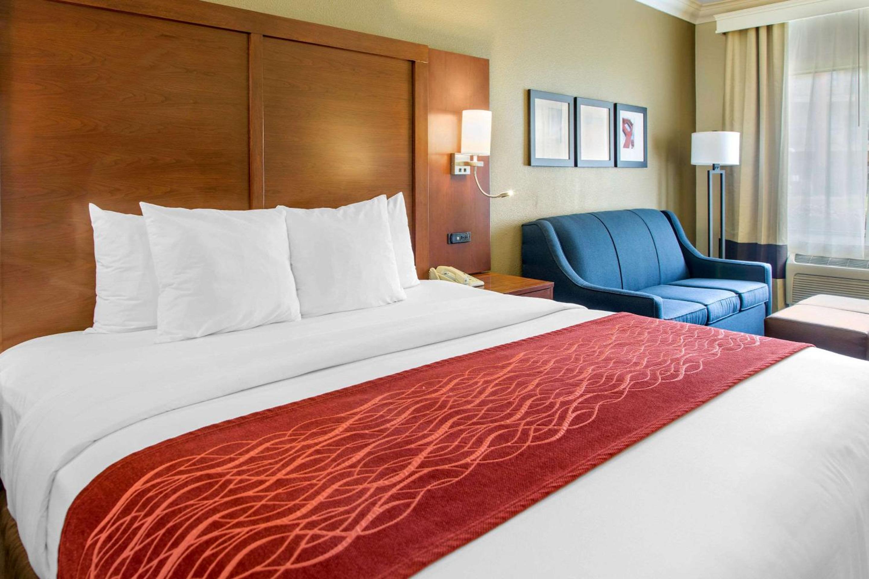 King Suite - Photo 4