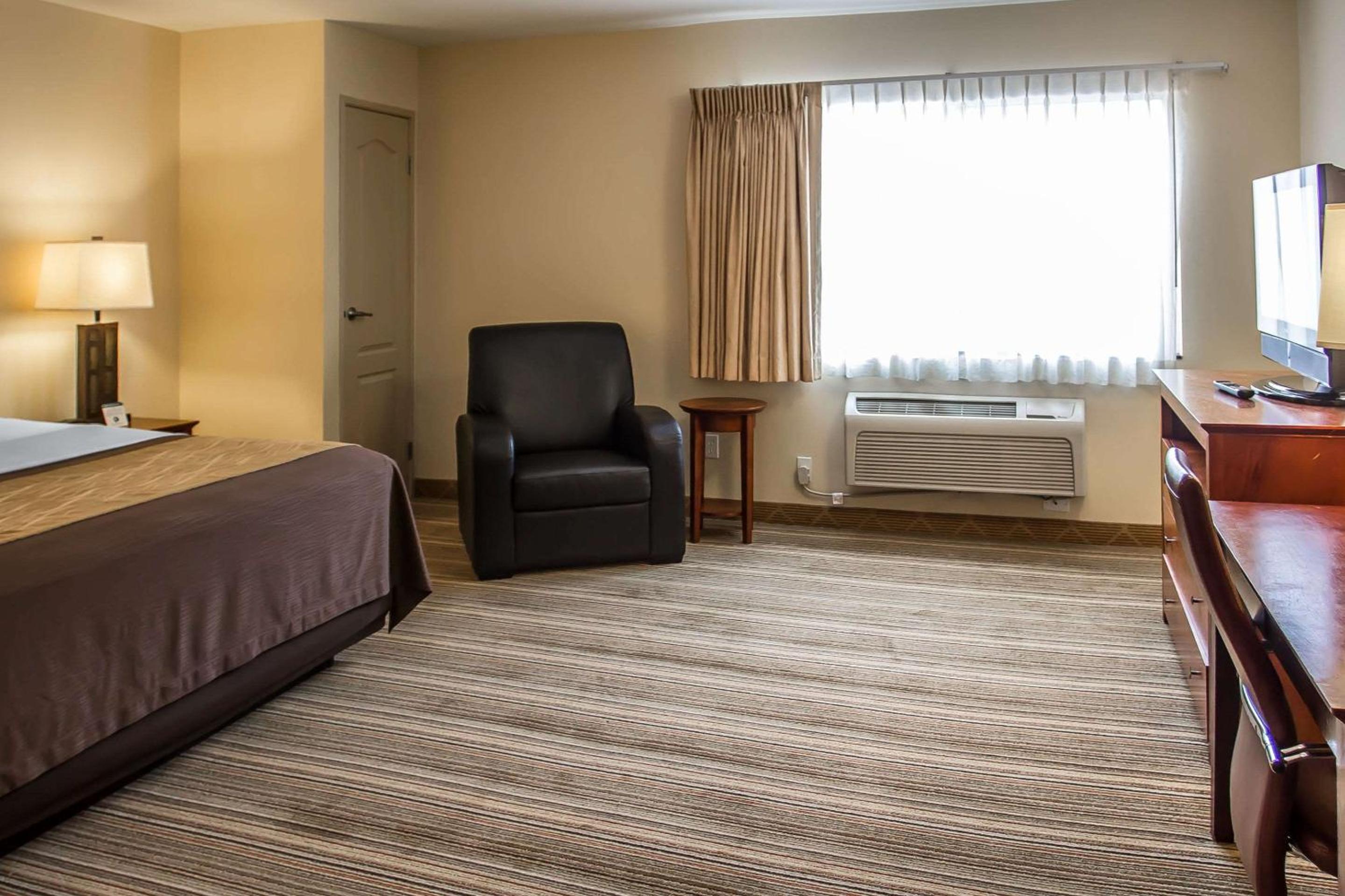 Standard Room, 1 King Bed, Non Smoking - Photo 6
