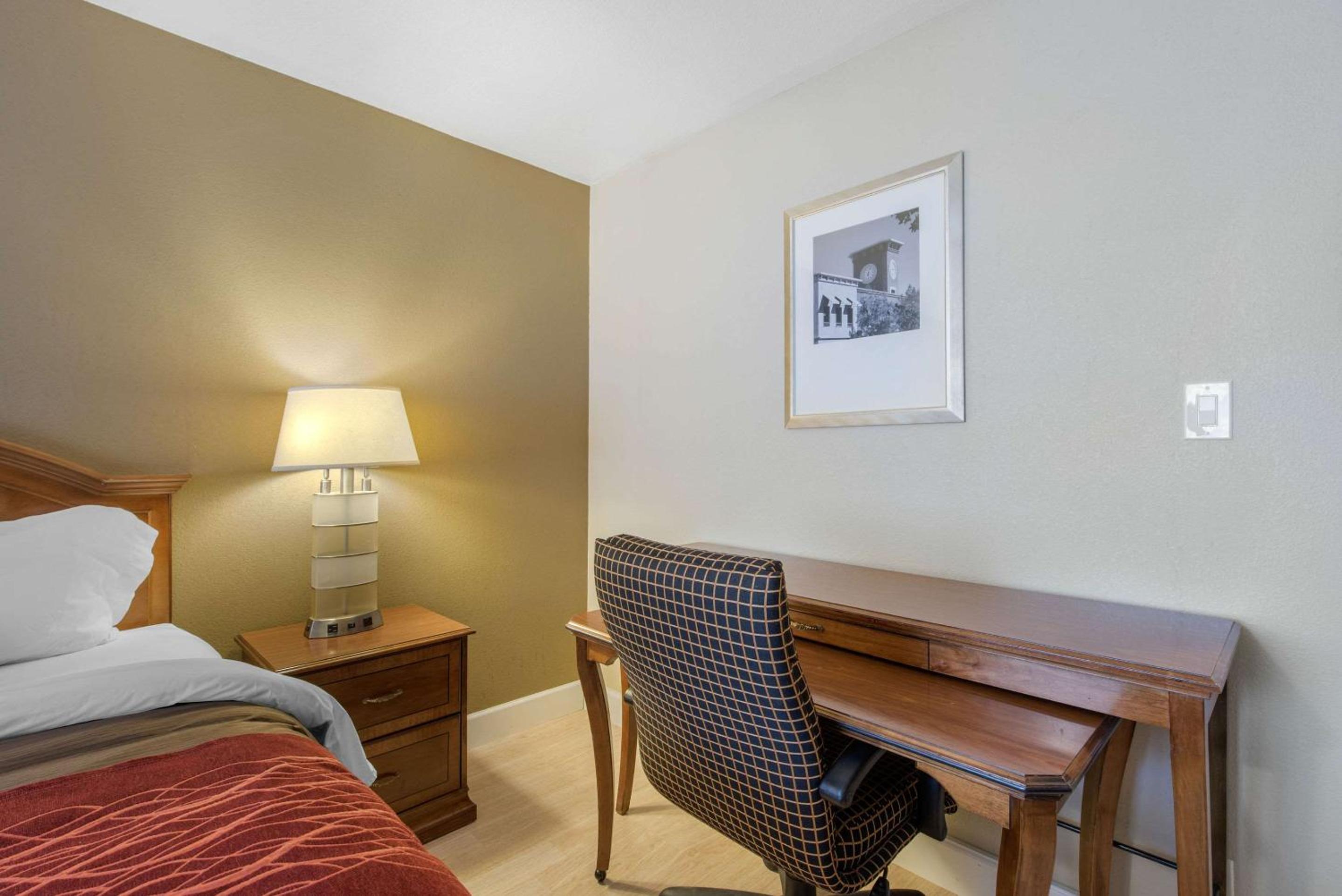 King Room - Non-Smoking photo 3