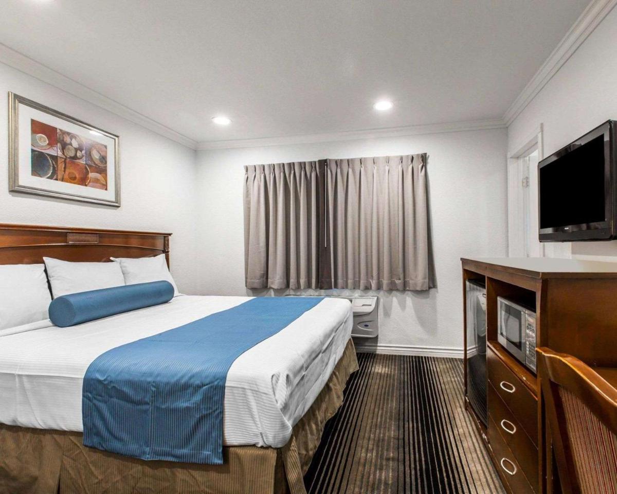 King Room - Non-Smoking photo 3