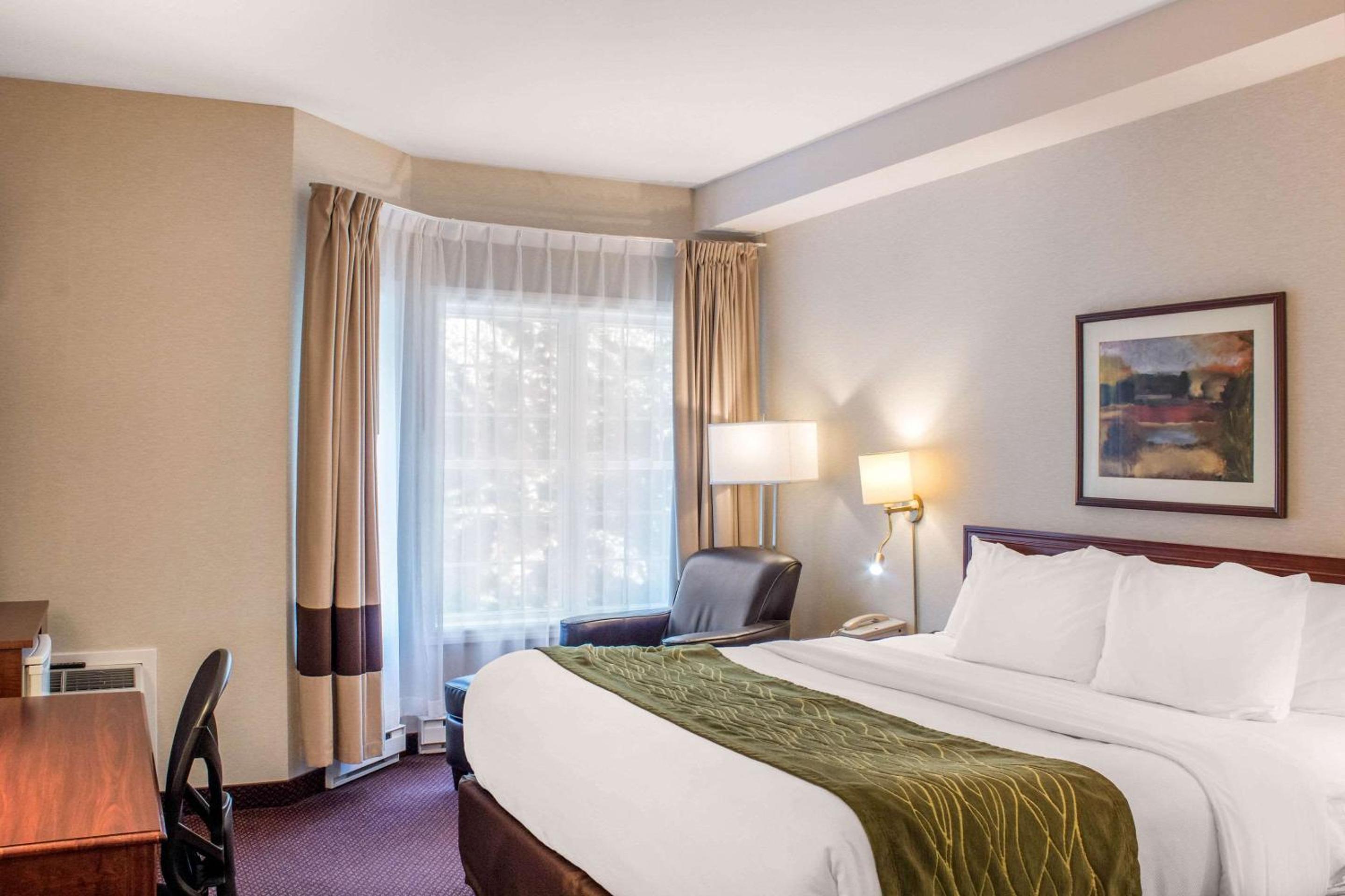 Standard King Room - Photo 2