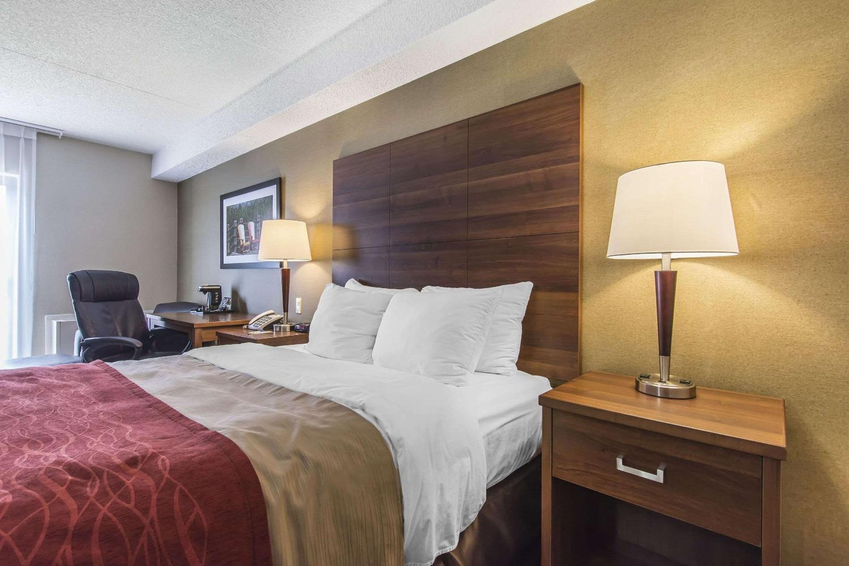 King Room - Accessible/Non Smoking - Photo 1