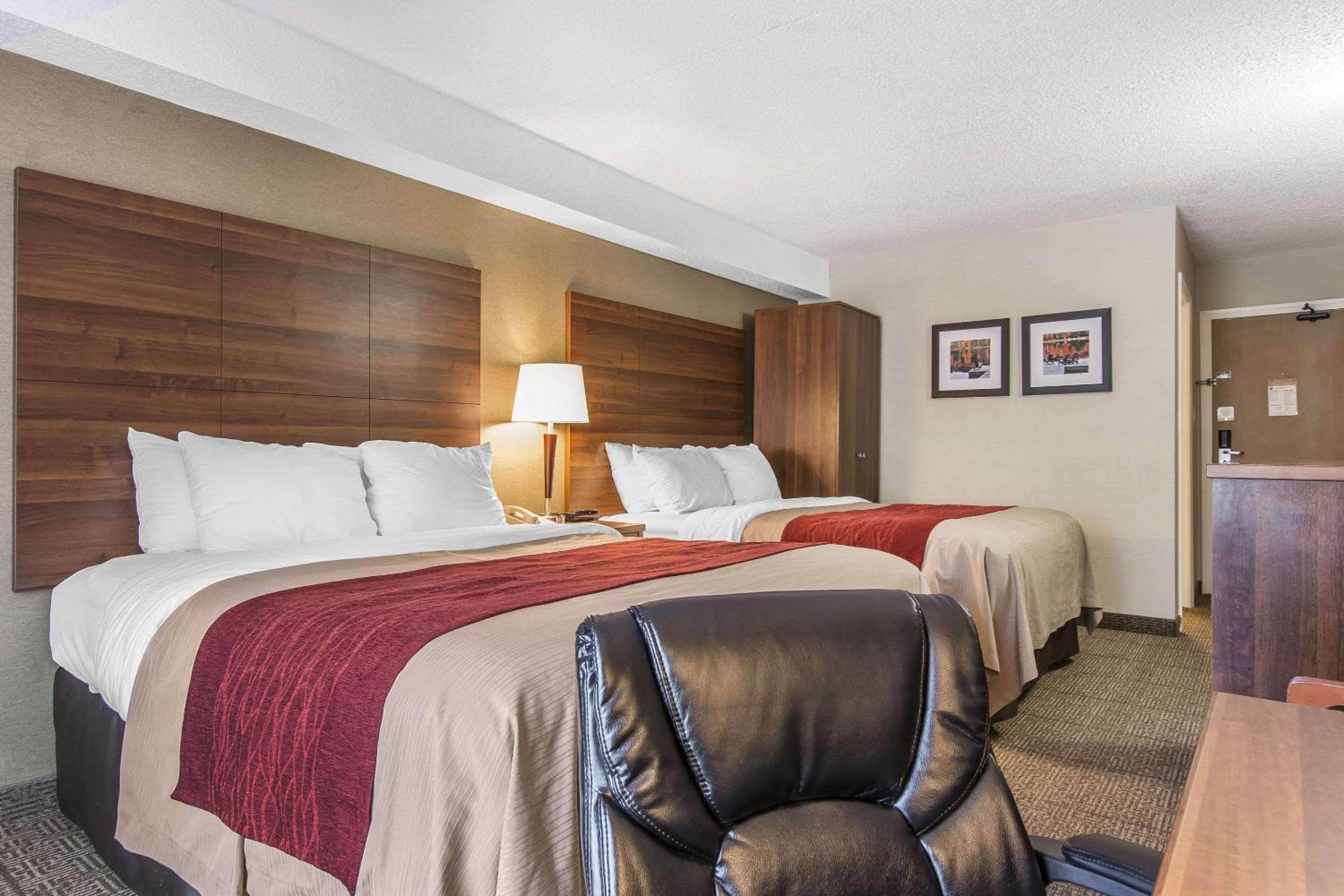 Two Queen Beds-Non Smoking - Photo 6