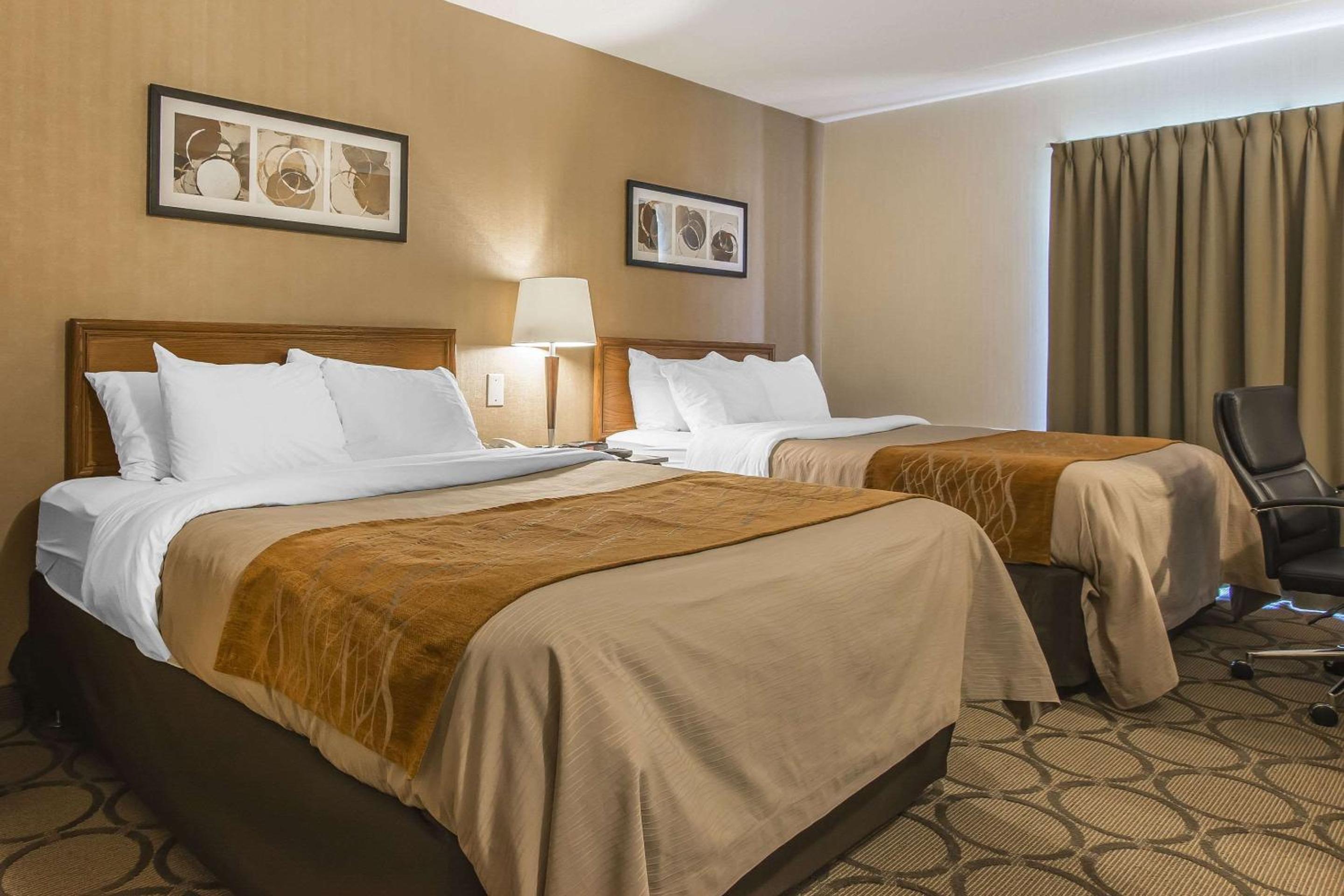 Standard Queen Room with Two Queen Beds- Non-Smoking - Photo 8