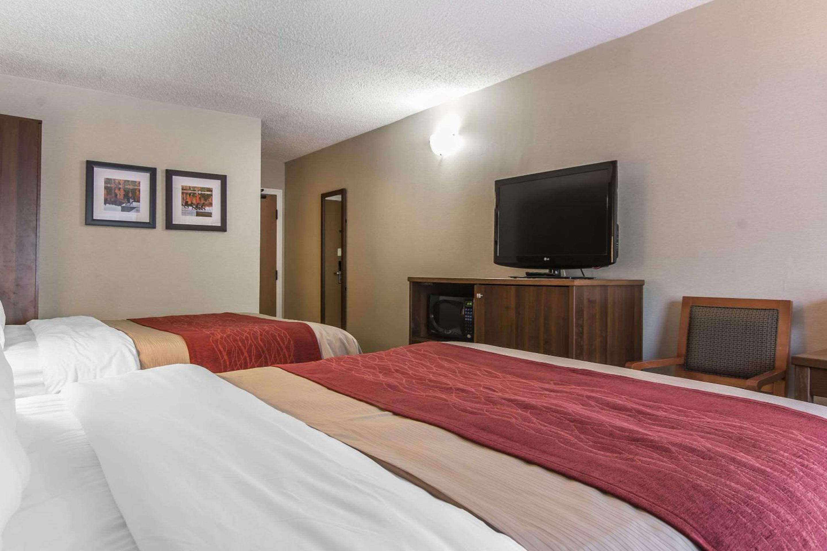 Two Queen Beds-Non Smoking - Photo 5