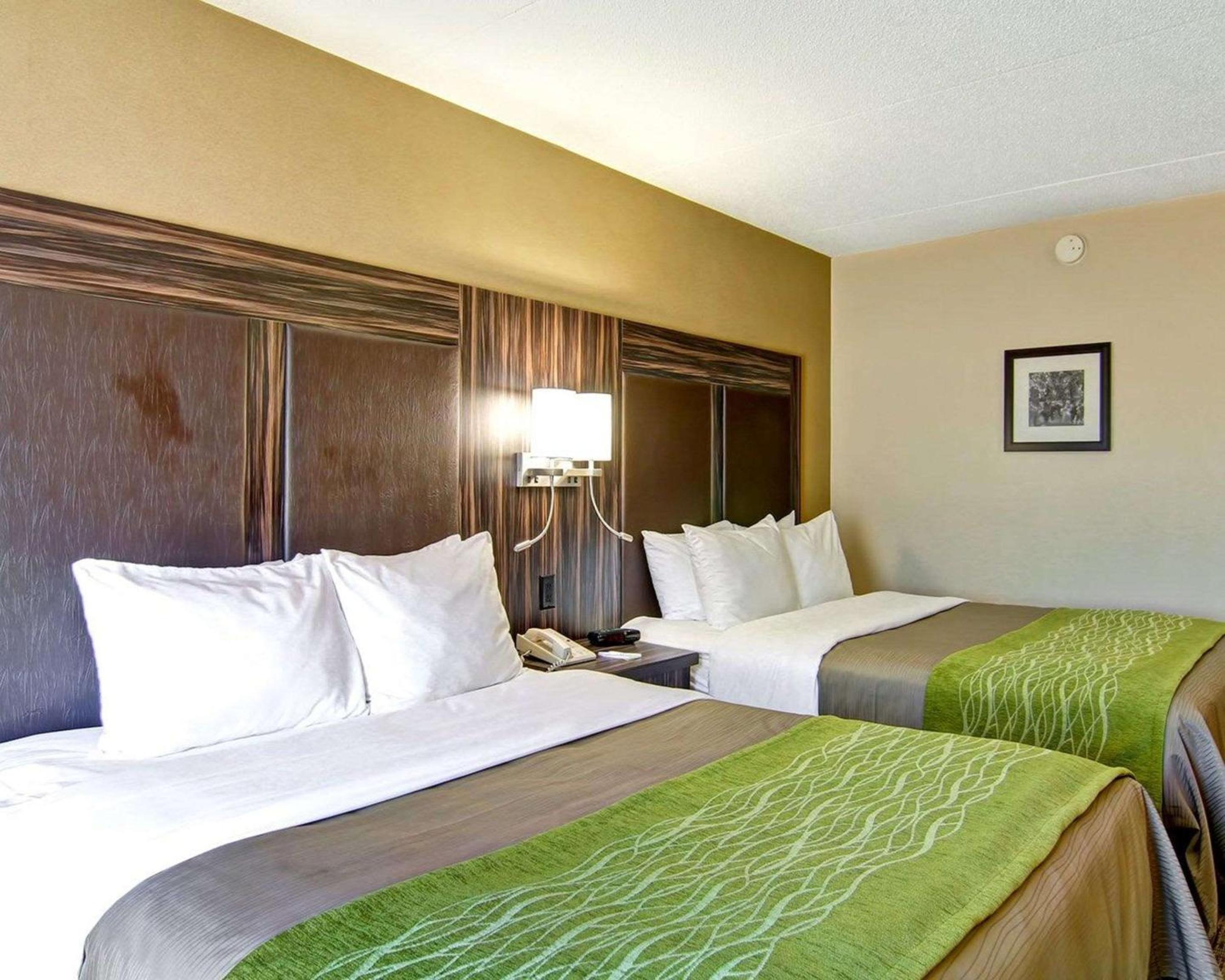 Queen Room with Two Queen Beds - Non-Smoking - Photo 2