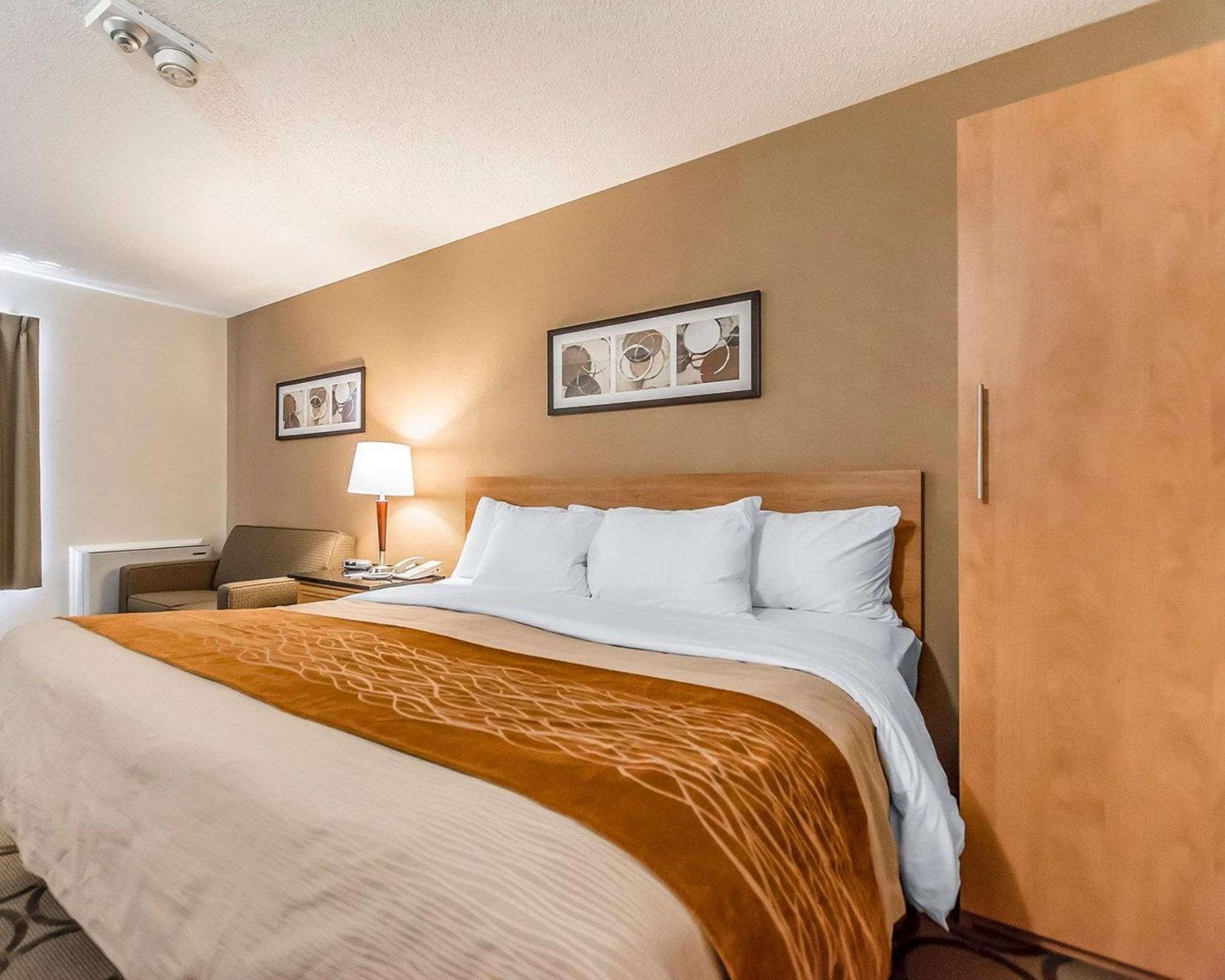 Deluxe King Room with Sofa Bed, Ground Floor - Photo 1