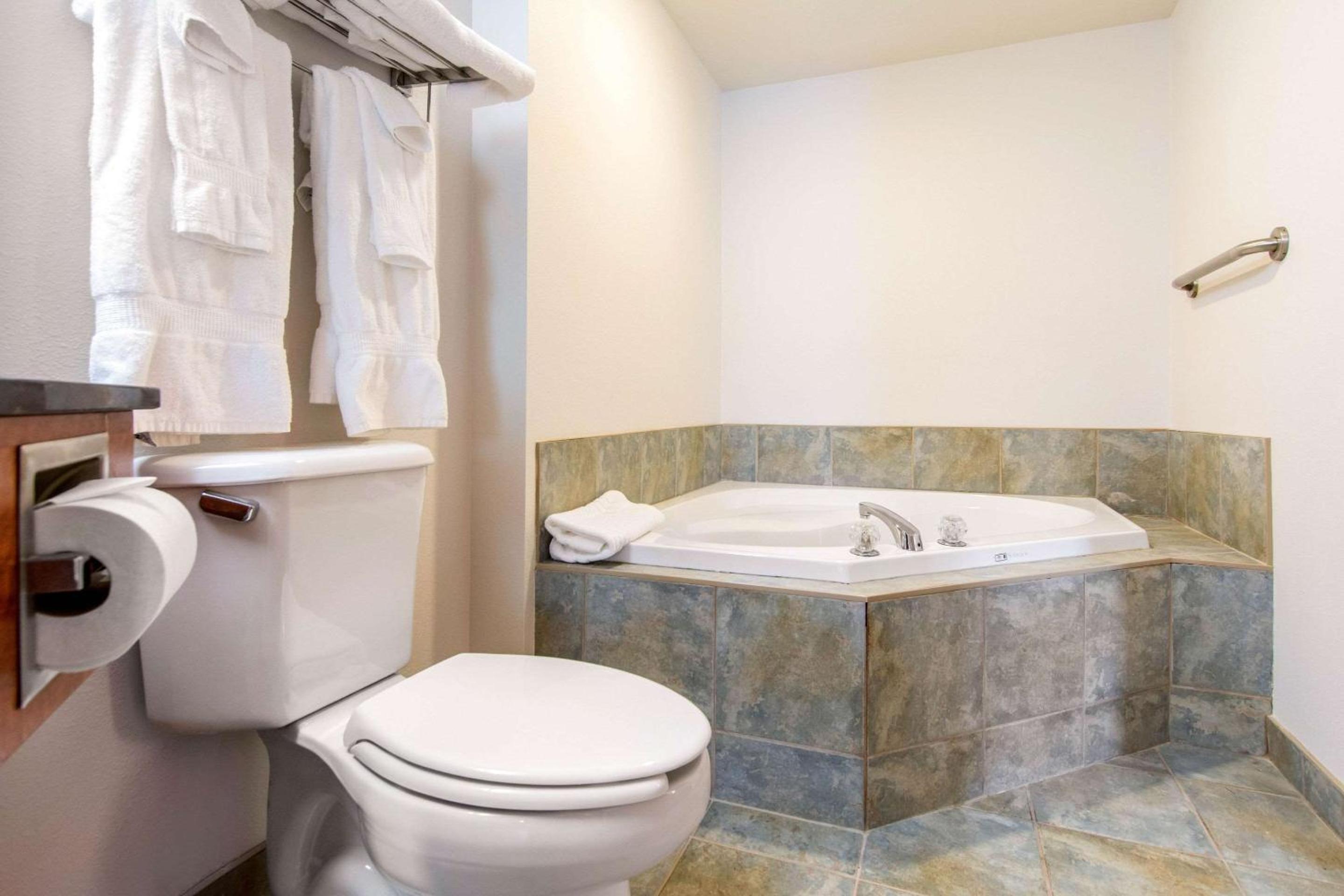 Business Queen Suite with Whirlpool and Sofa Bed - Photo 4