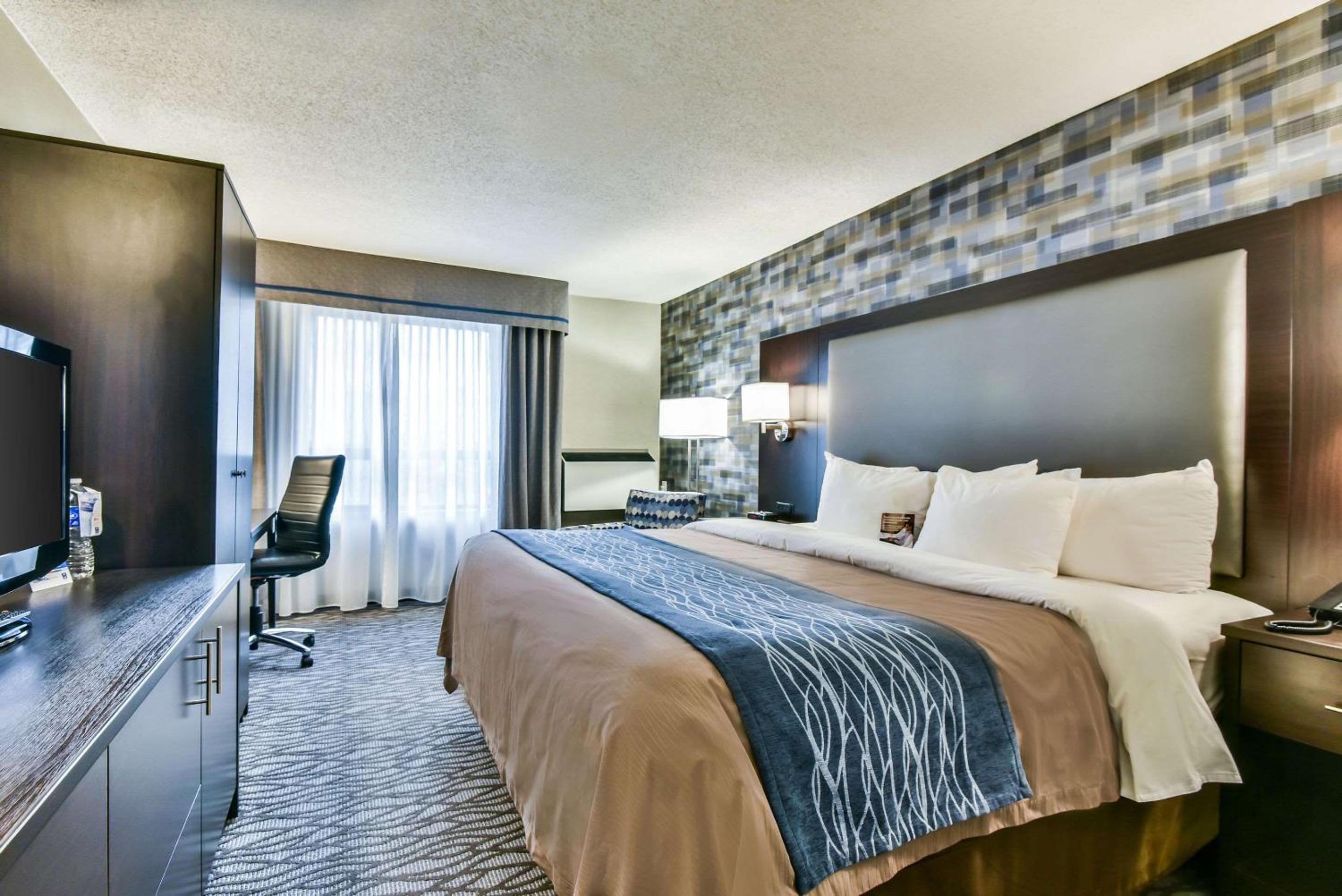 Standard Queen Room