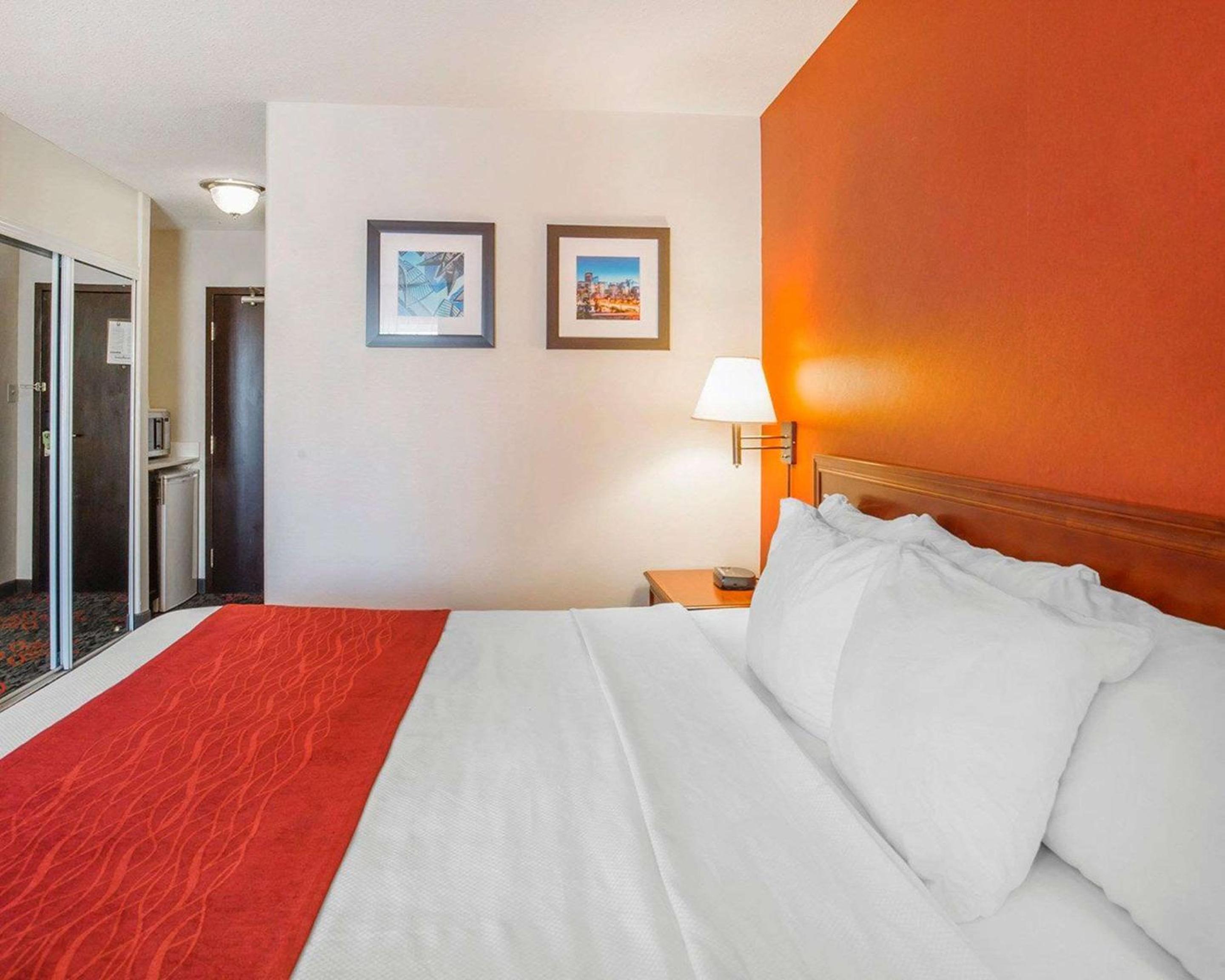 King Room - Photo 1