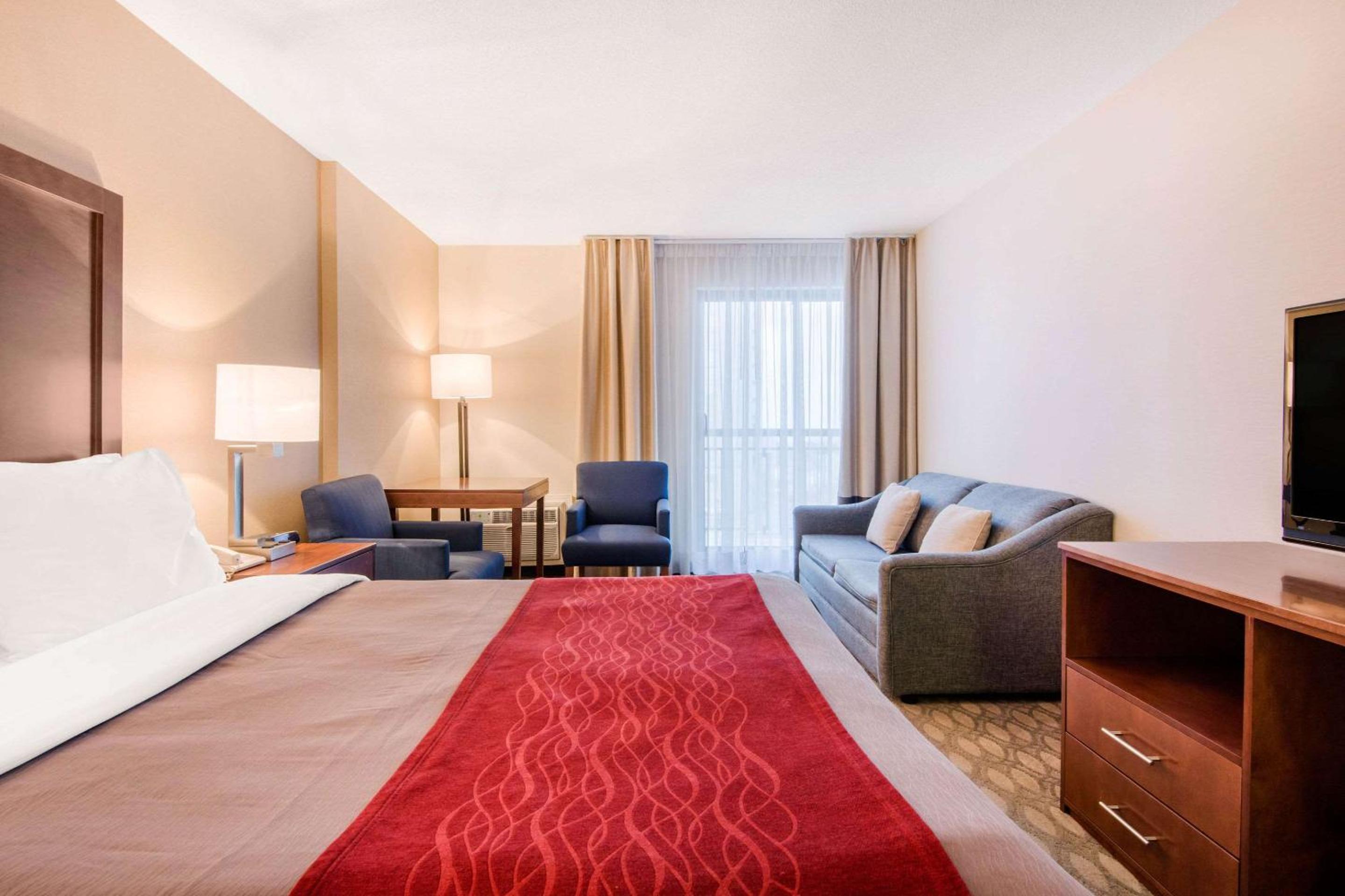 Queen Room with Sofa Bed photo 1