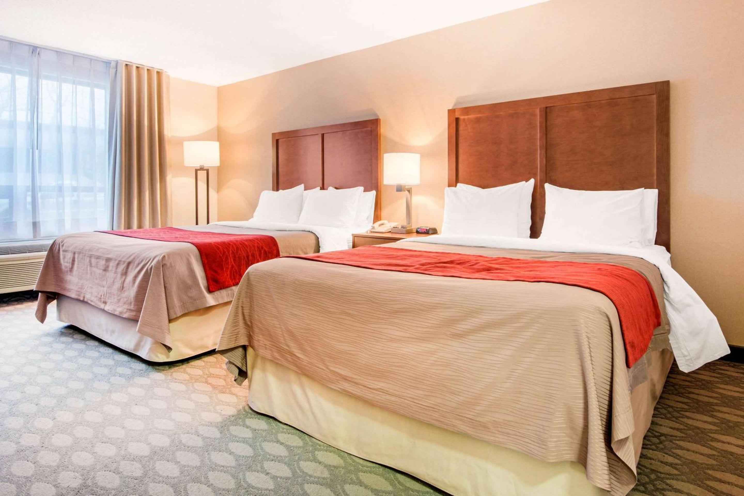 Room with Two Double Beds - Photo 1