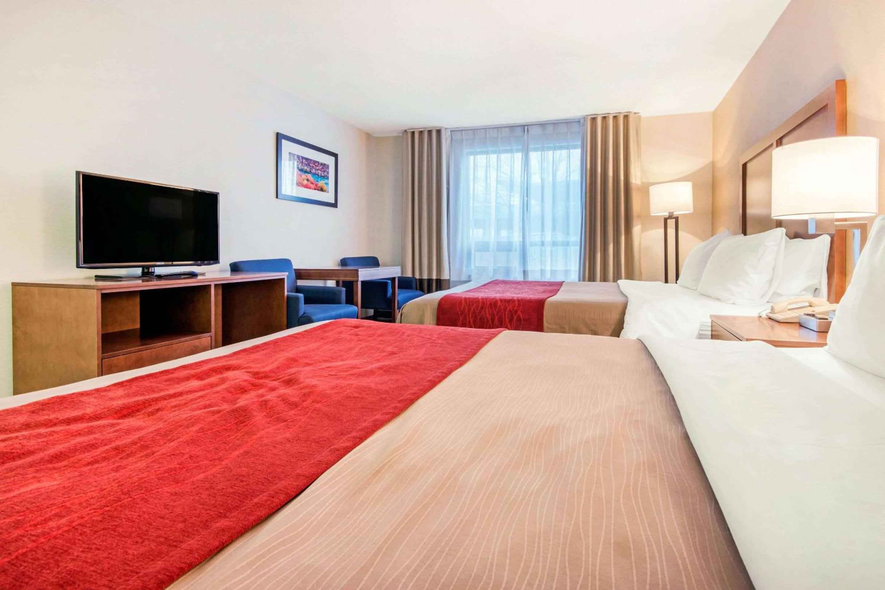 Room with Two Double Beds - Photo 2