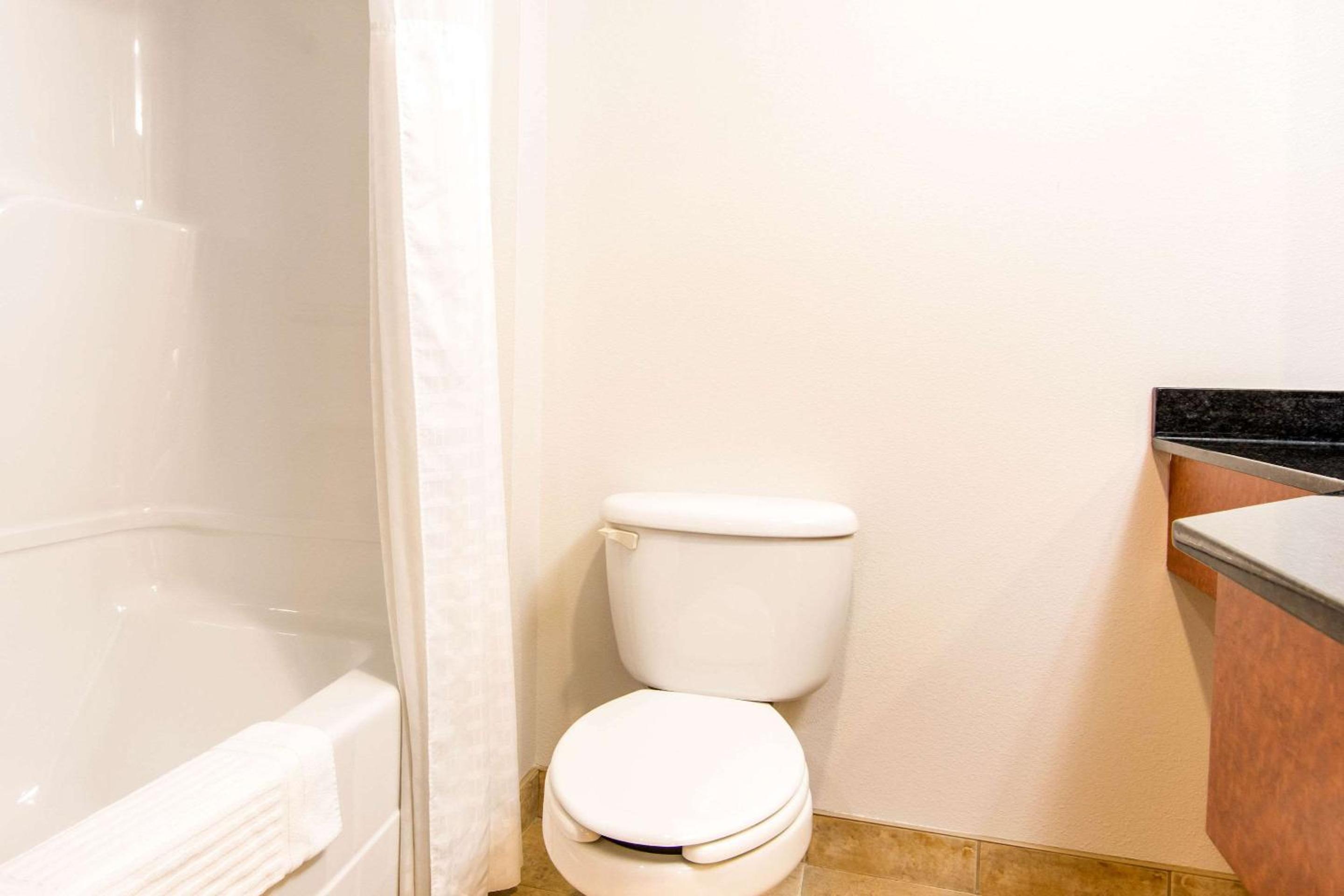 King Suite - Non-Smoking - Photo 4
