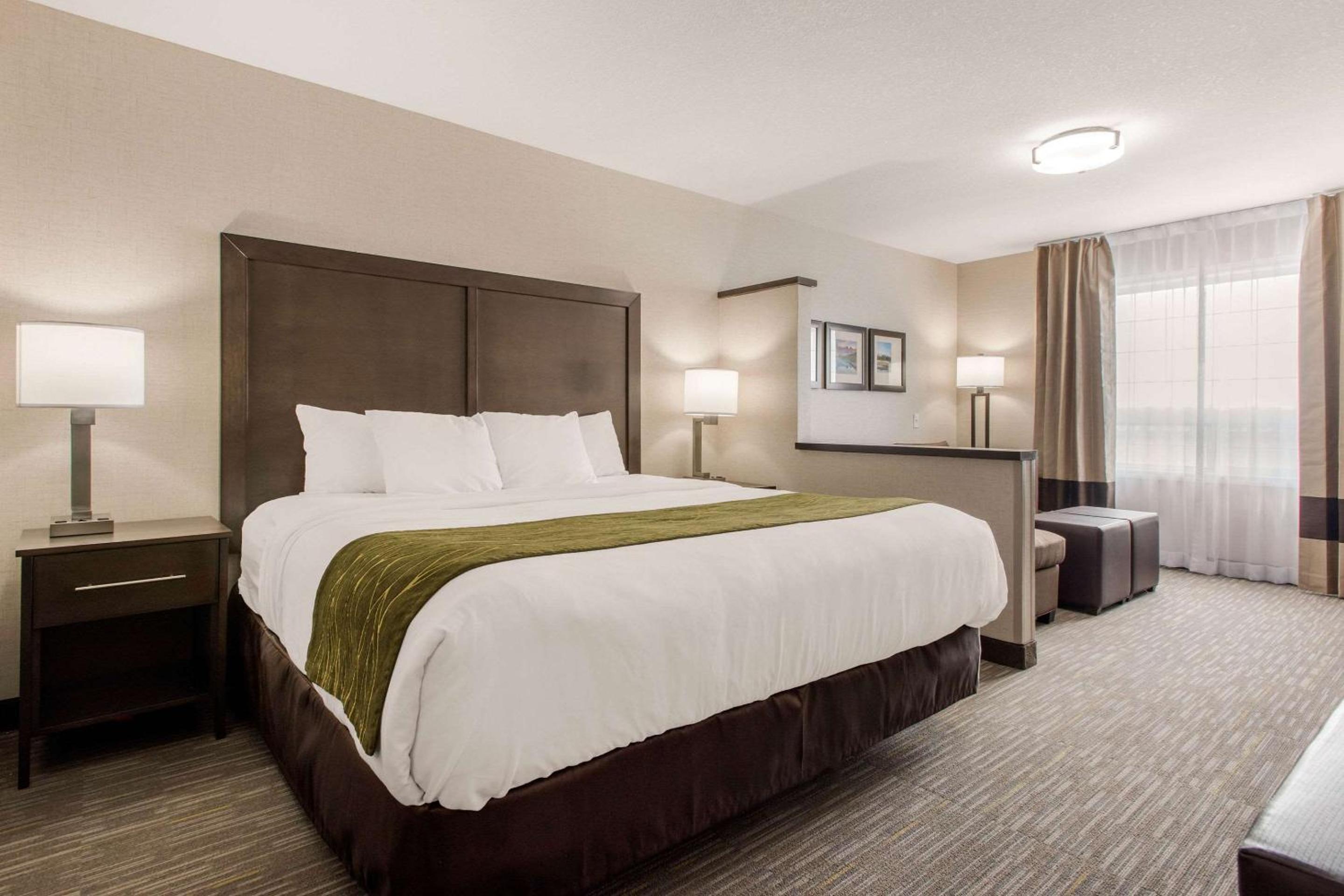 King Room - Non-Smoking - Photo 5