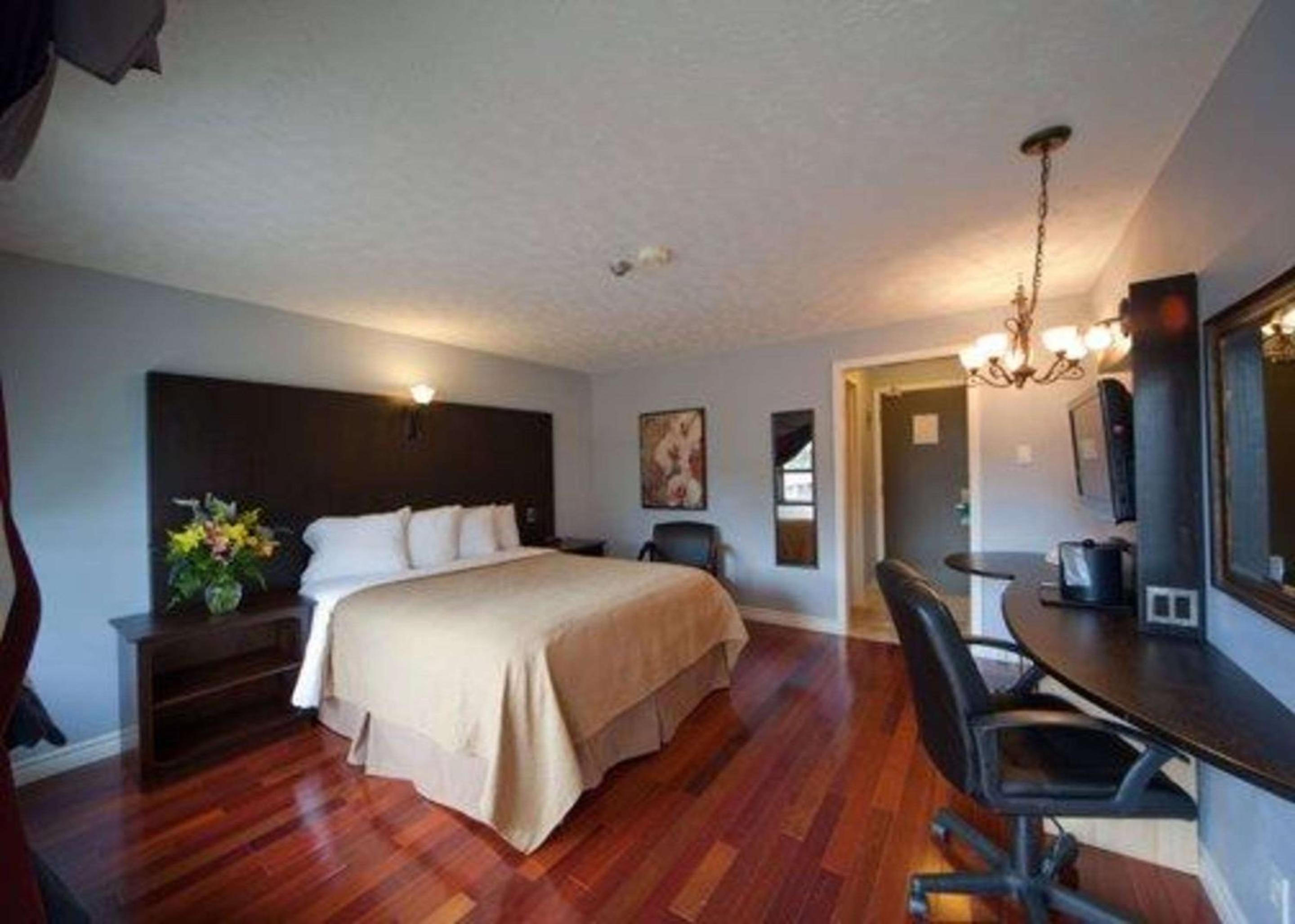 Queen Room - Non-Smoking - Photo 3