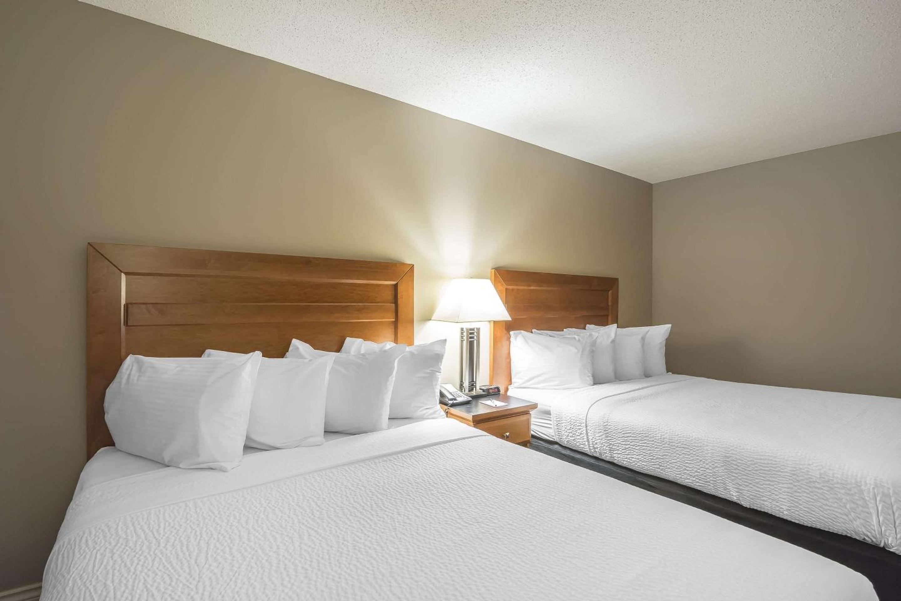 Queen Room with Two Queen Beds - Non Smoking - Photo 5