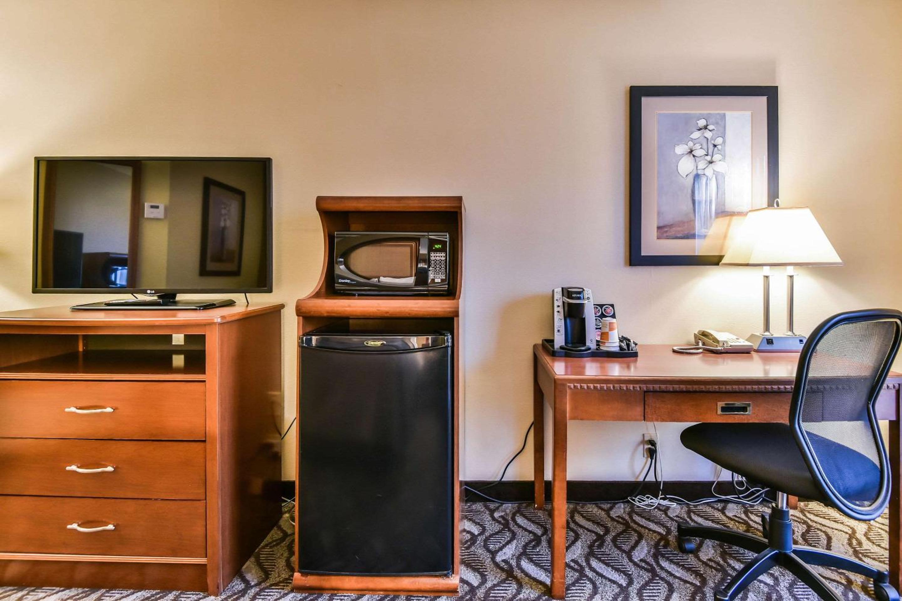 Queen Room - Ground Floor/Pet Friendly/Non-Smoking - Photo 4
