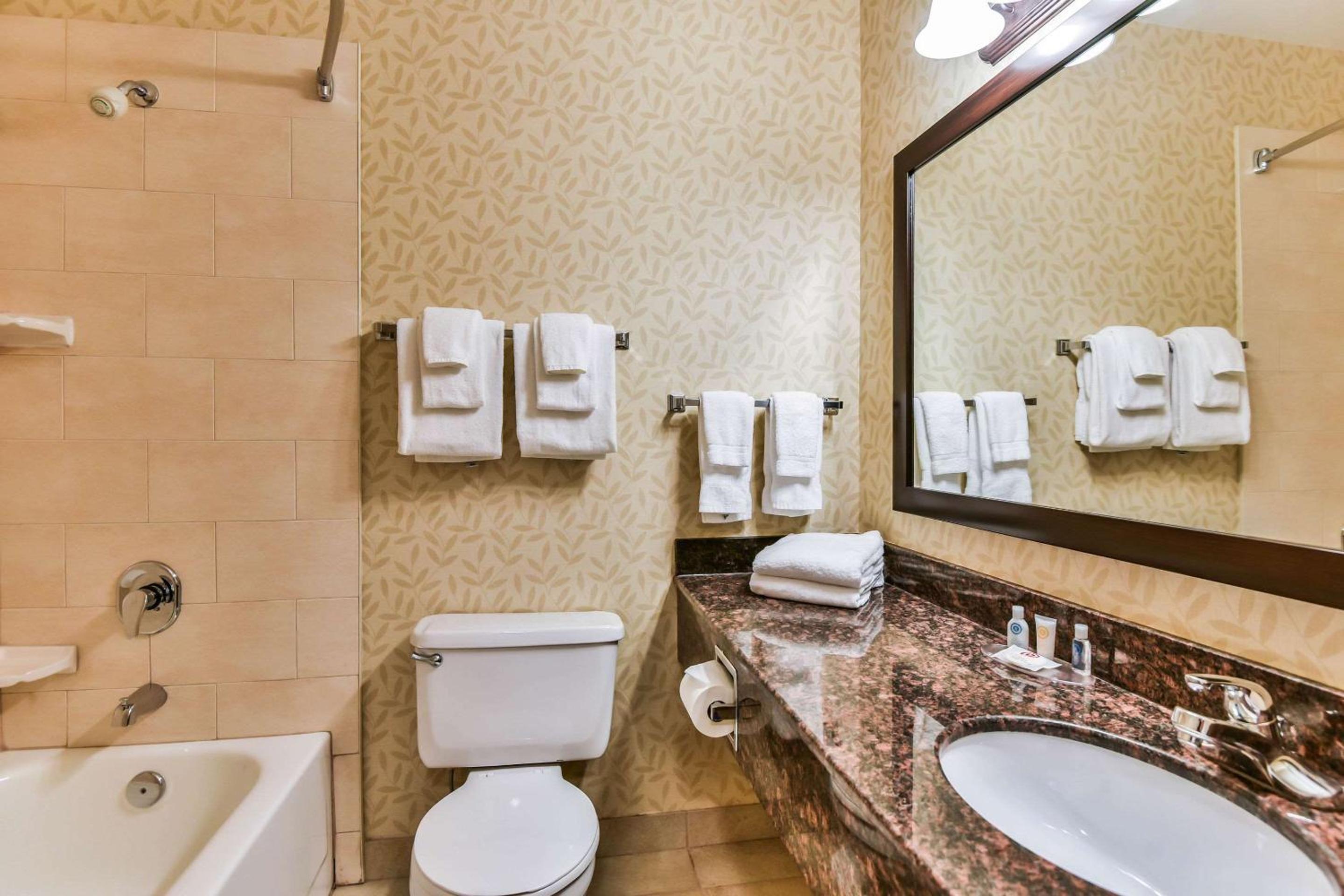 Queen Room - Ground Floor/Pet Friendly/Non-Smoking - Photo 3