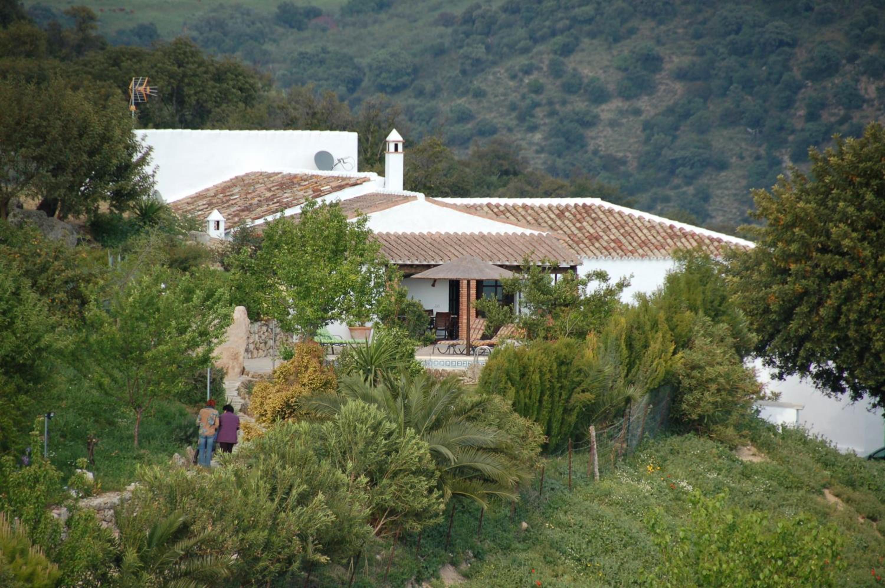 Three-Bedroom House photo 2