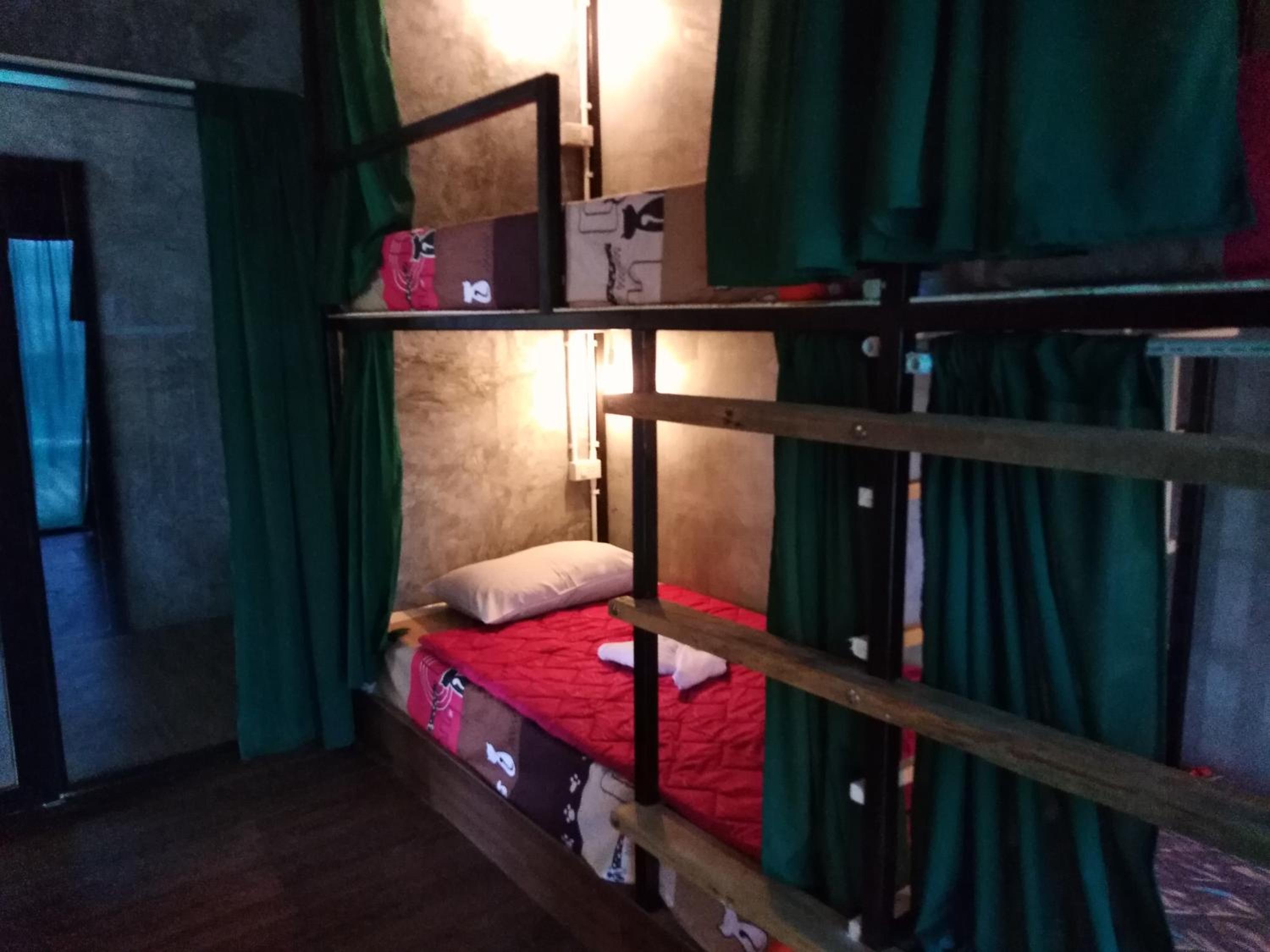 Bunk Bed in Mixed Dormitory Room photo 2