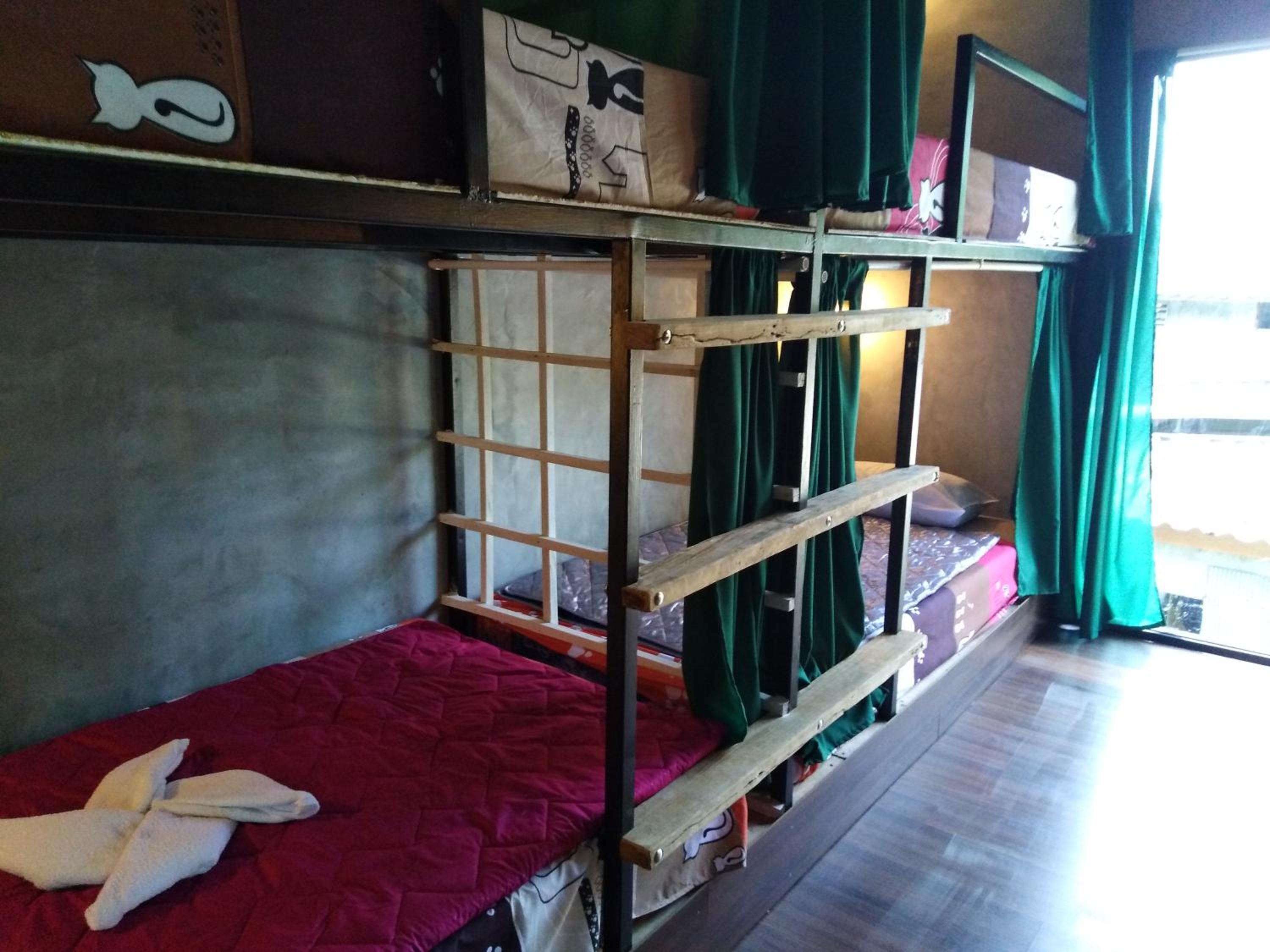 Bunk Bed in Mixed Dormitory Room photo 3