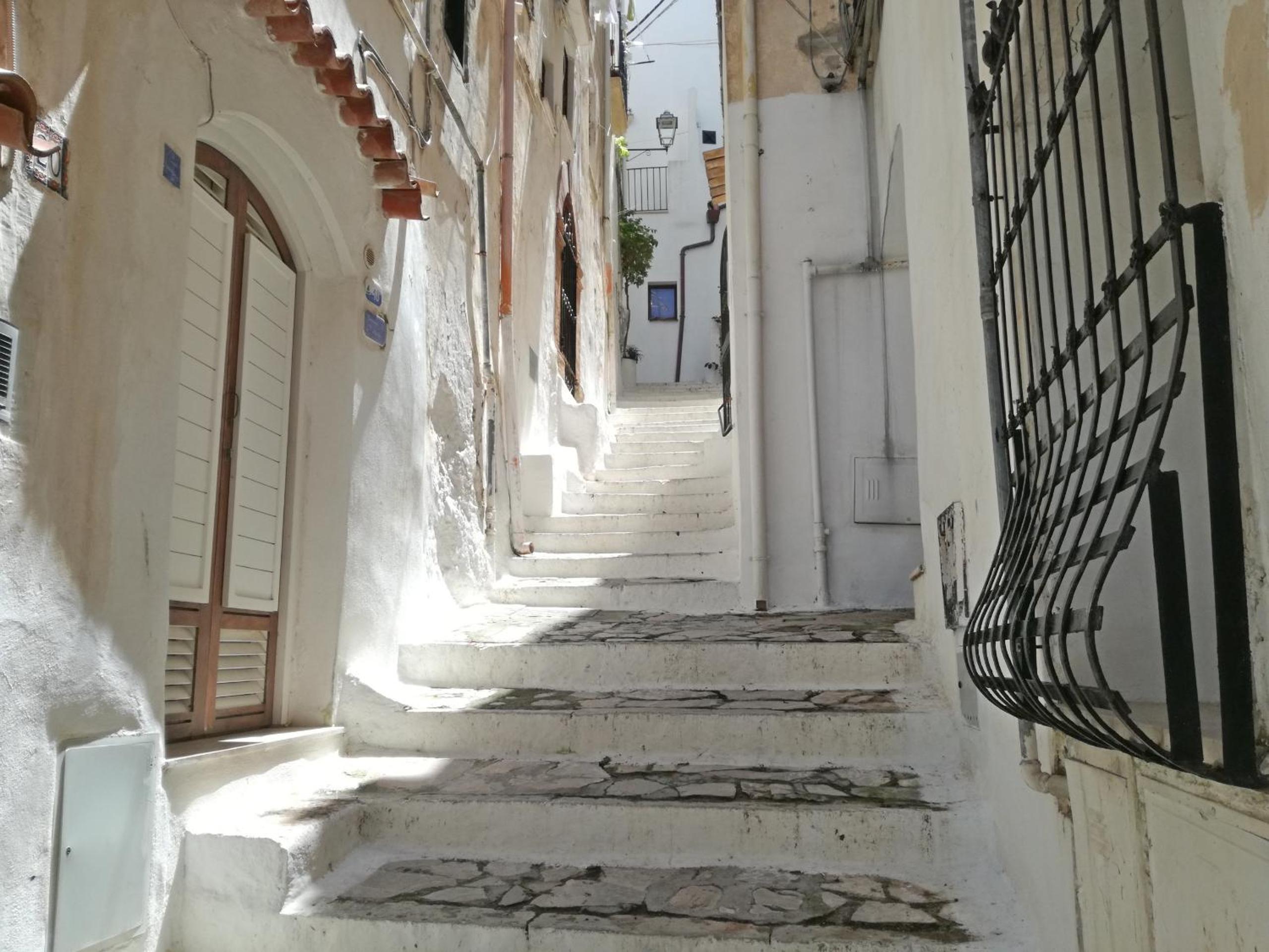 Apartment with Terrace - Photo 6