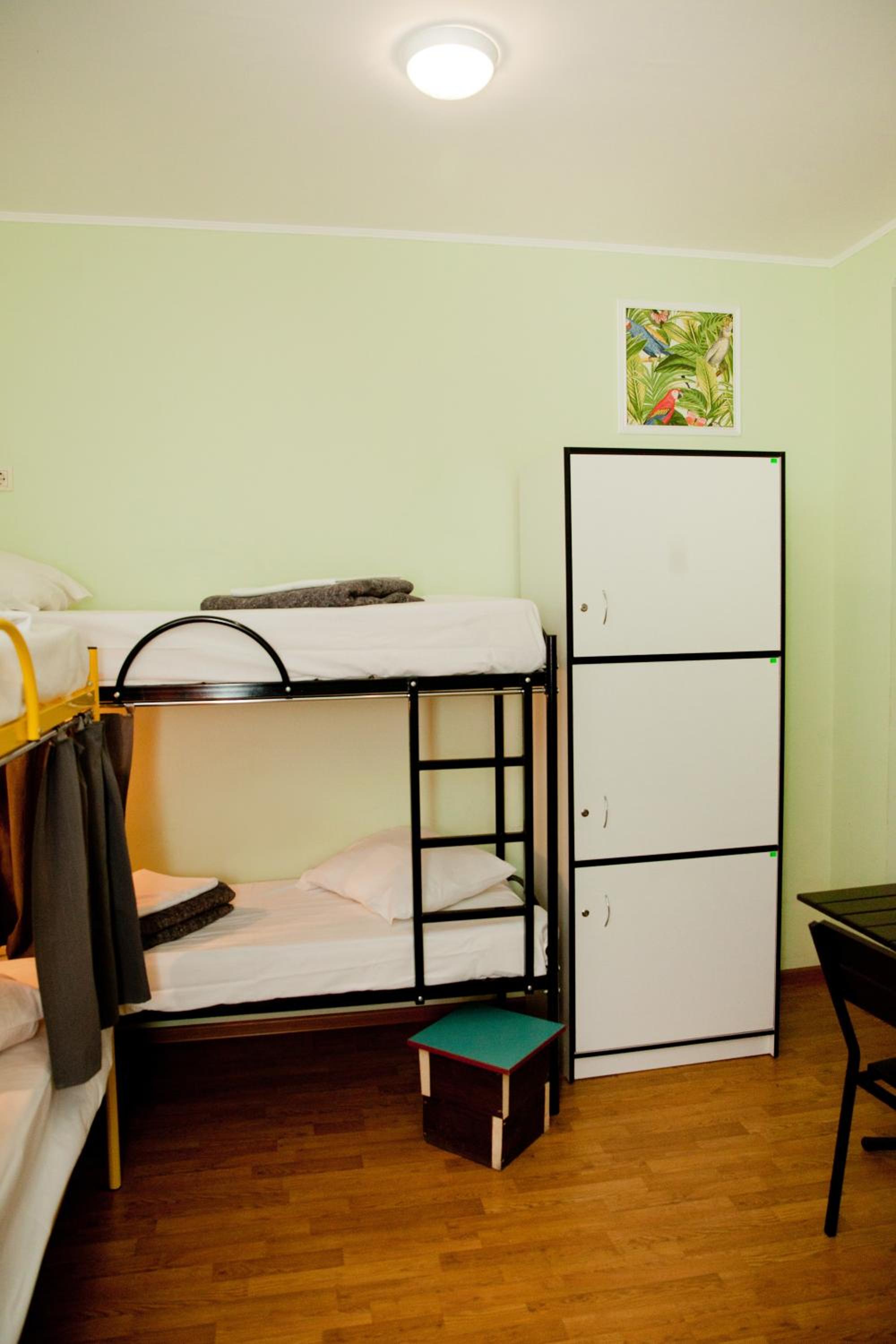 Bunk Bed in Mixed Dormitory Room photo 2