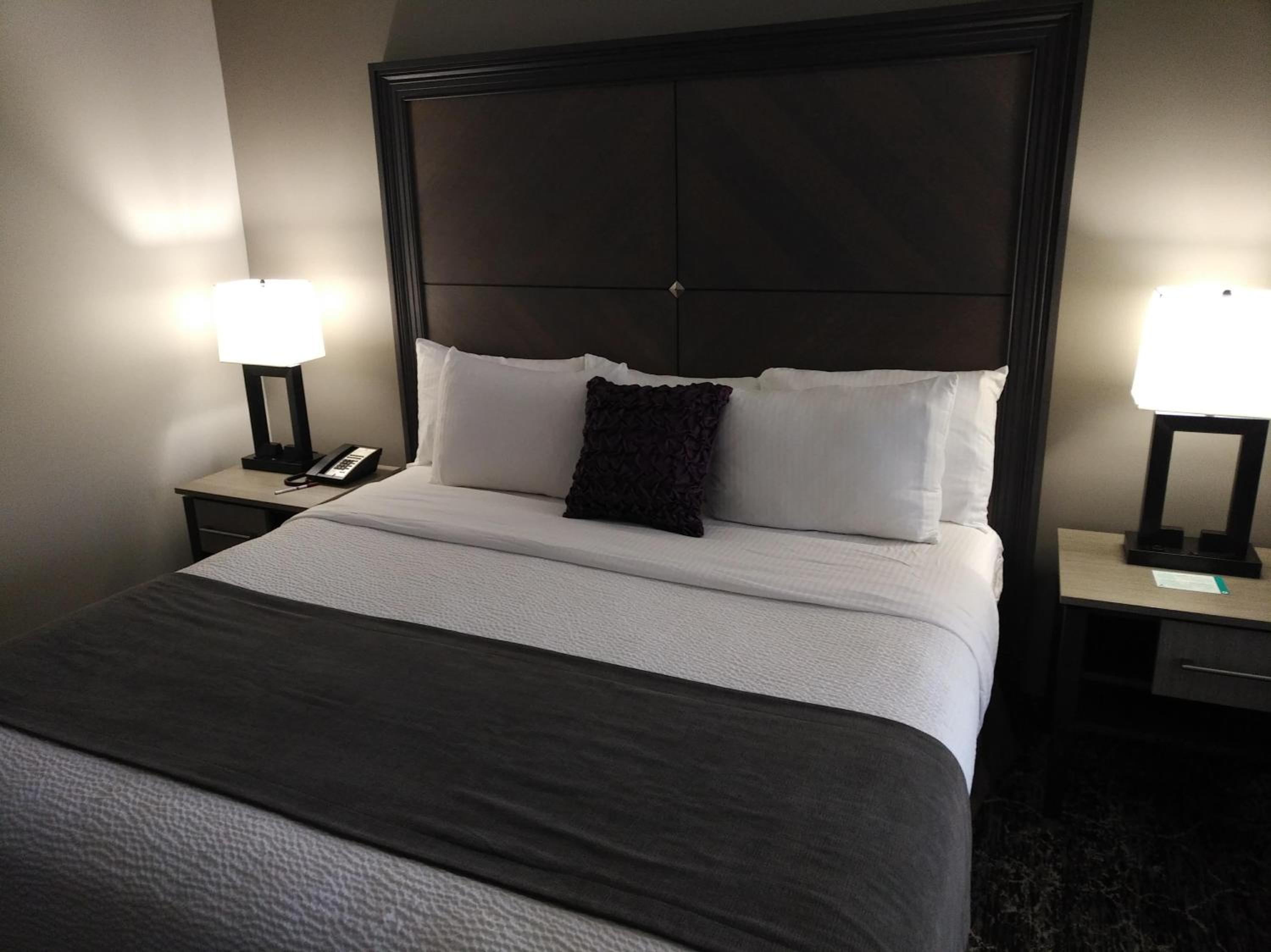 Deluxe King Suite - Non-Smoking - Photo 4