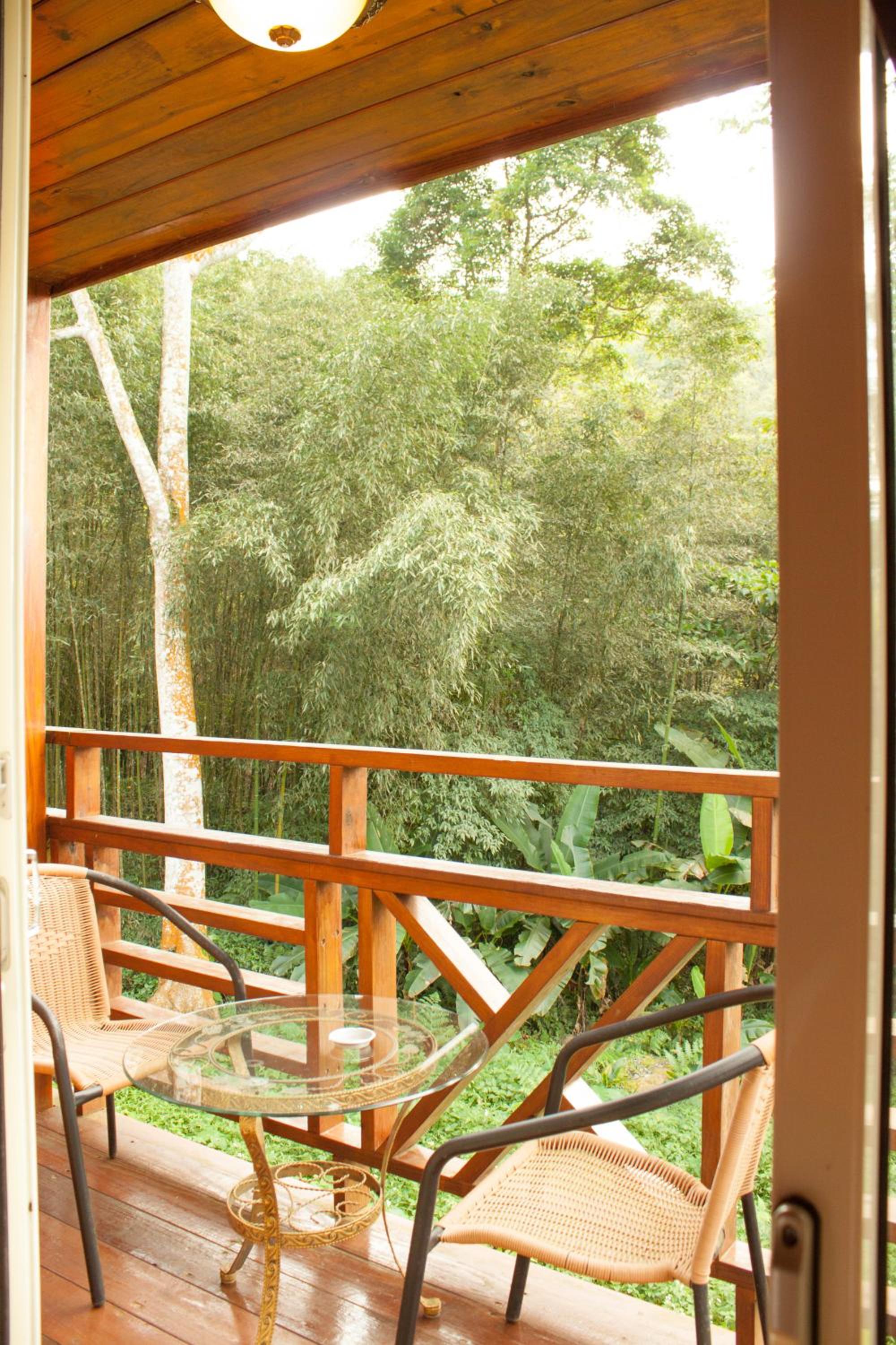 Family Room with Mountain View photo 2