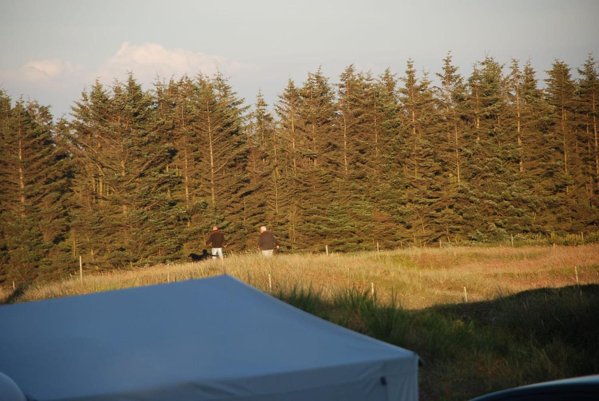 Tent thumbnail 6