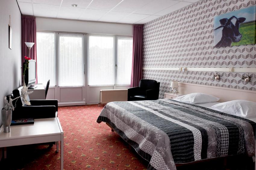 Suite photo 3