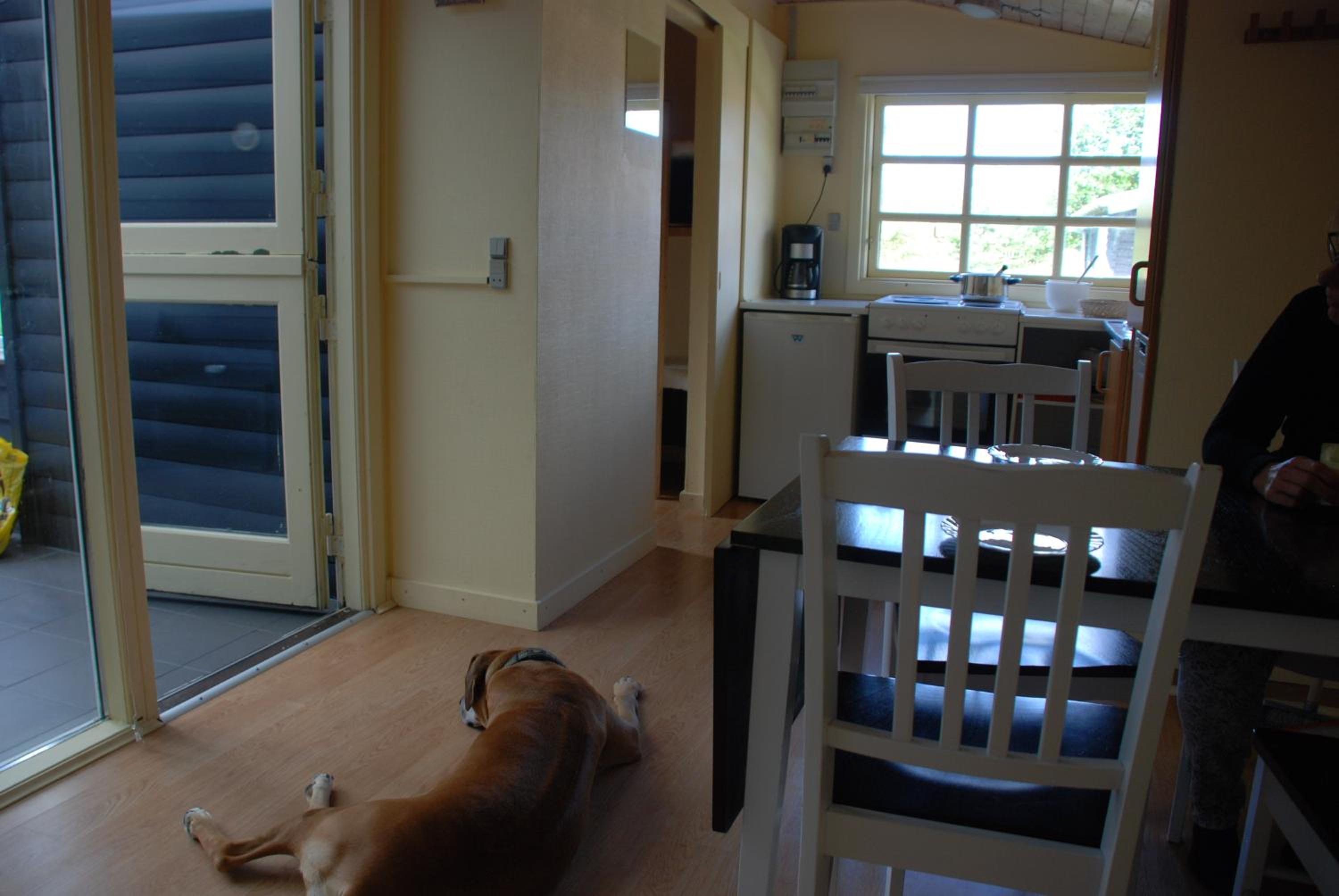 Two-Bedroom Bungalow with Private Shower & Toilet thumbnail 5