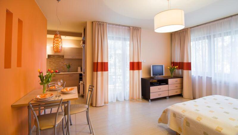 Apartment with Terrace photo 2