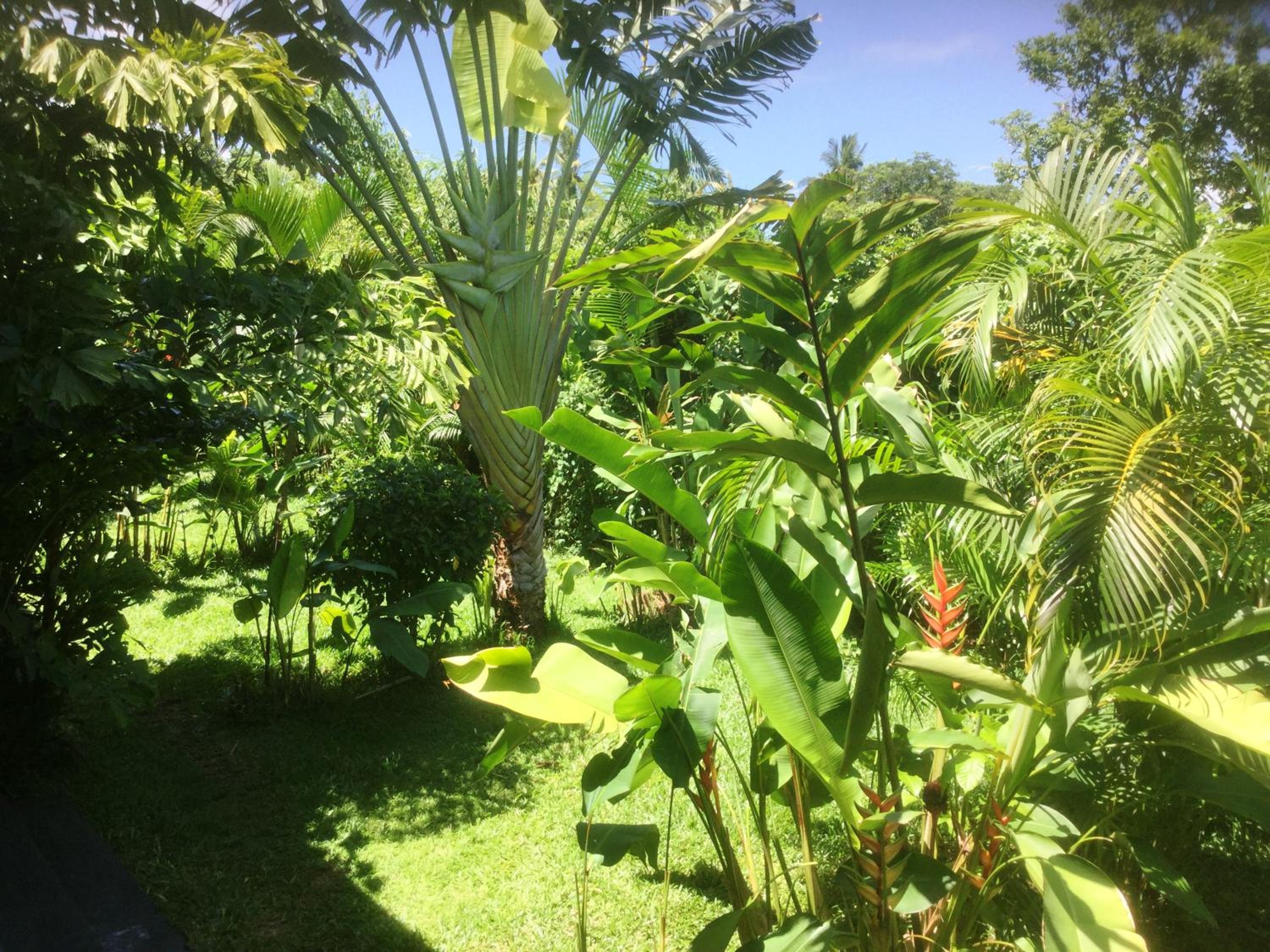 Double Room with Garden View photo 3