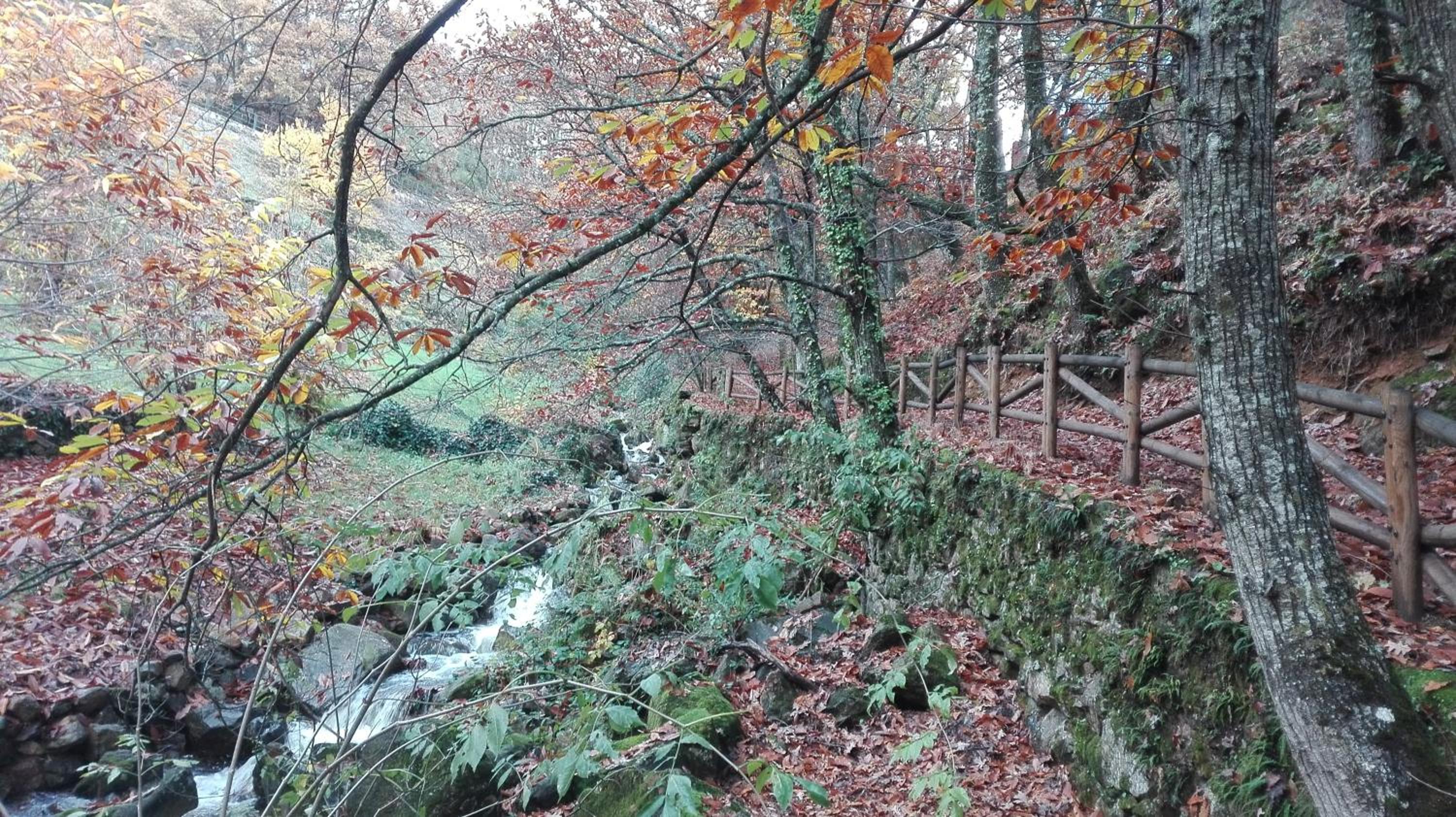 Holiday Home photo 3
